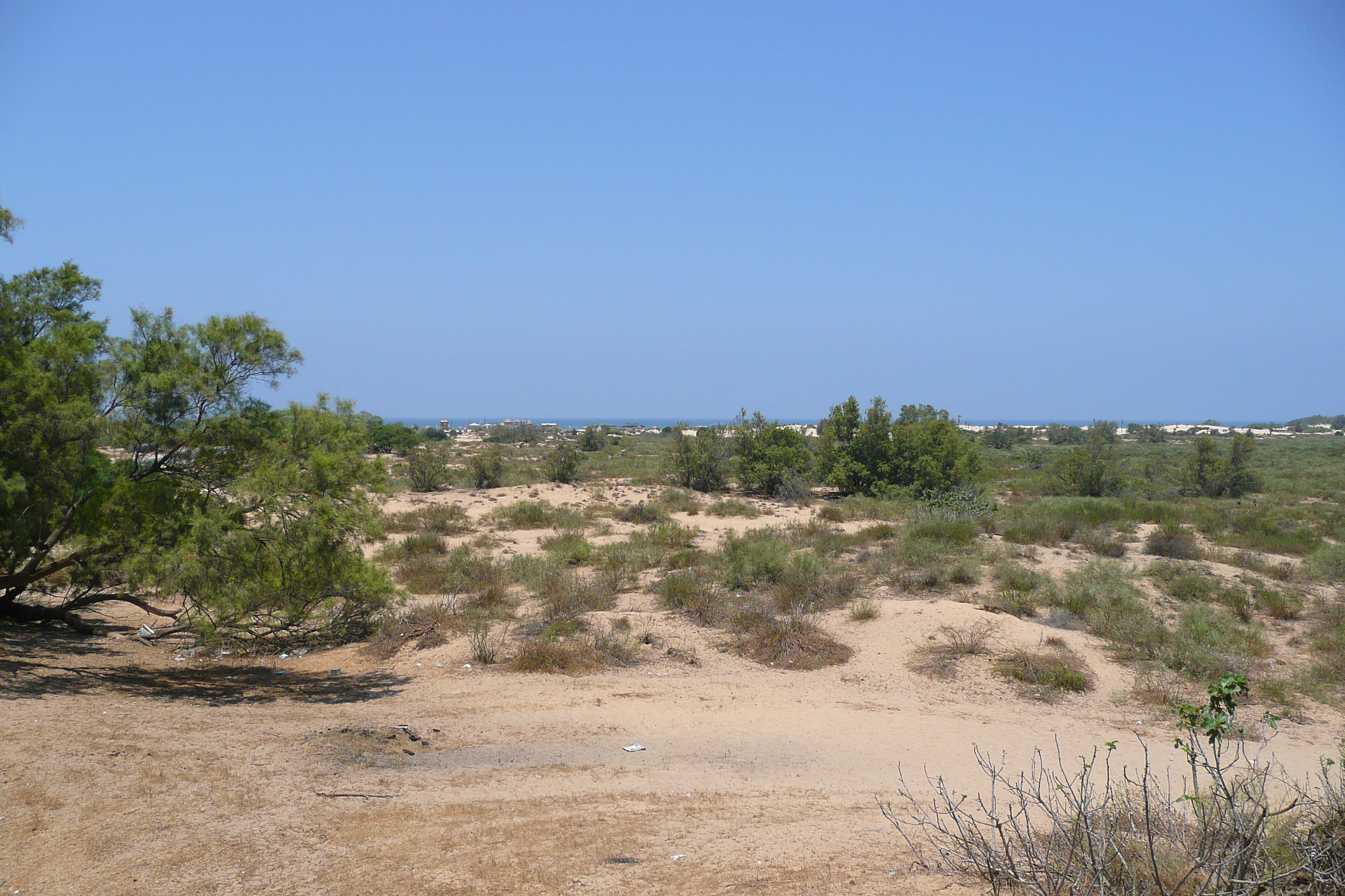 รูปถ่าย อิสราเอล(Israel) นิทซาน(Nitzan) 2007-06 107