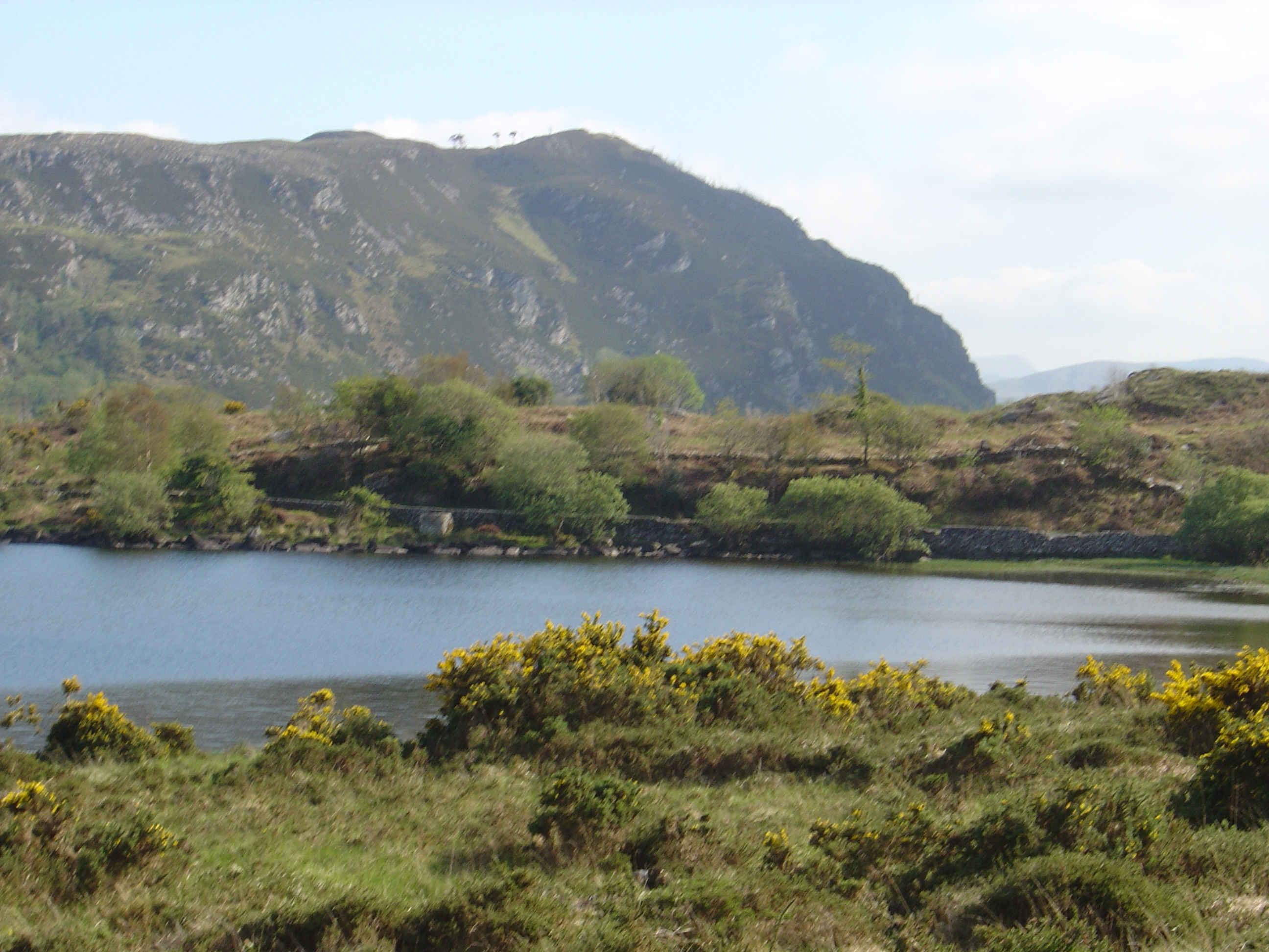 รูปถ่าย ไอร์แลนด์(Ireland) เคอร์รี่(Kerry) ทะเลสาบคารา(Caragh Lake) 2004-05 17