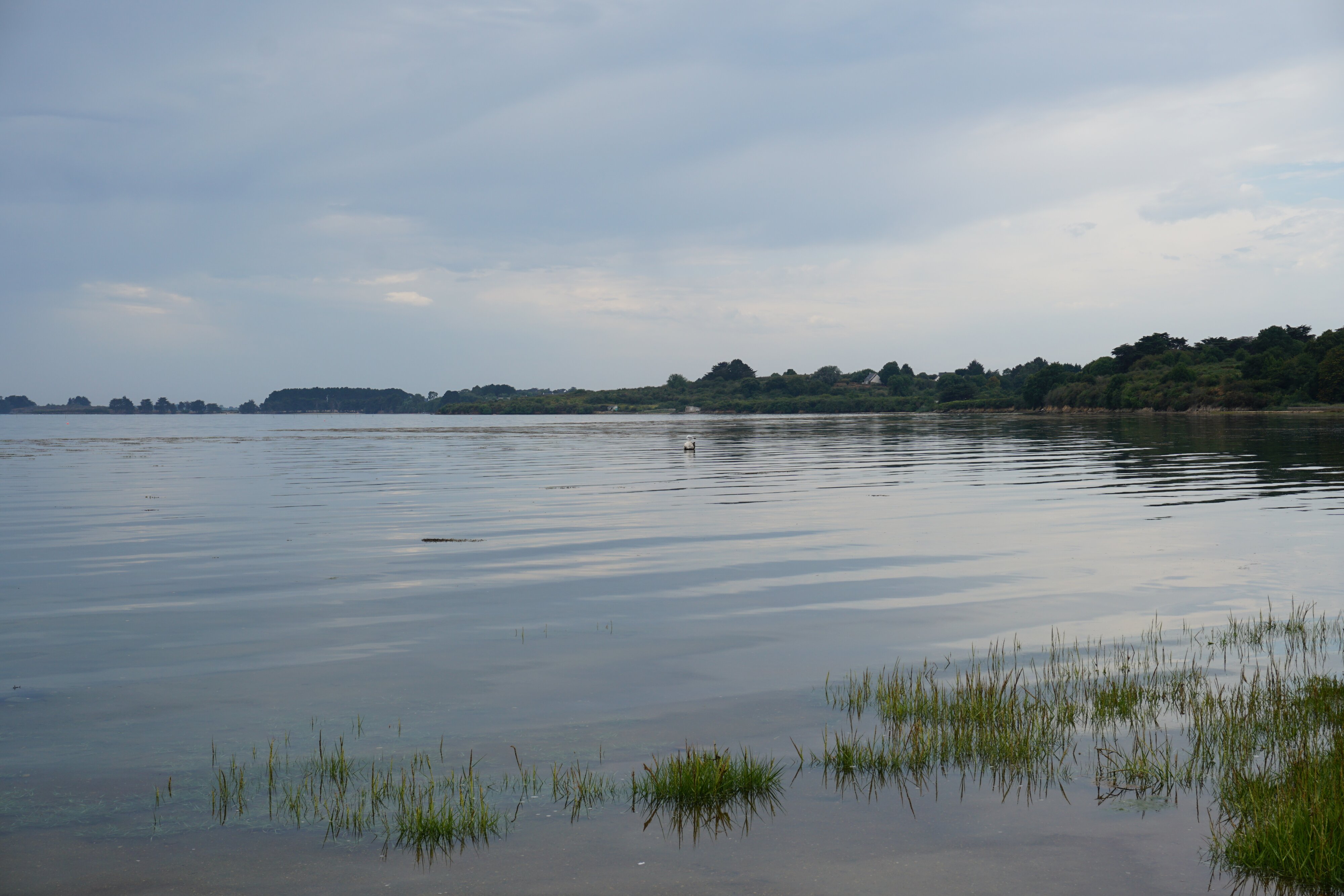 รูปถ่าย ฝรั่งเศส(France) เกาะโอมวน(Ile-aux-Moines) 2016-08 23