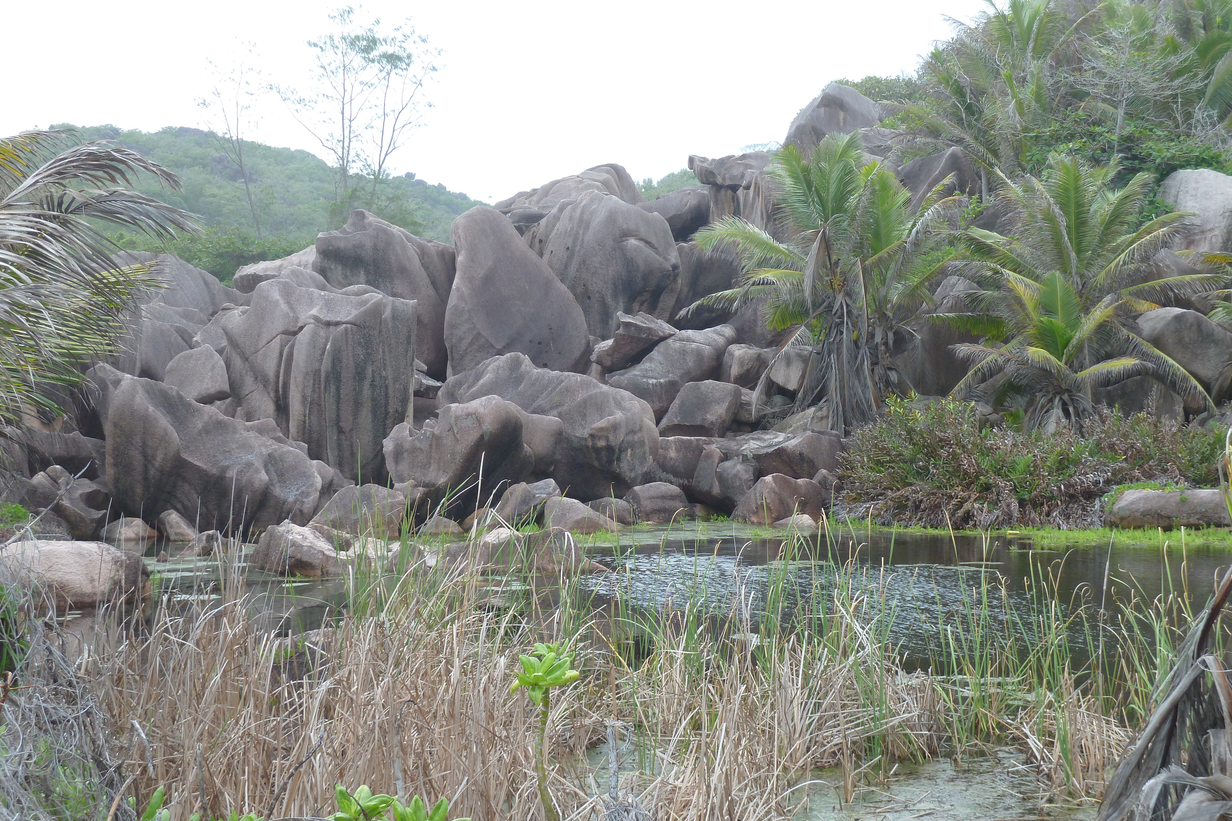รูปถ่าย เซเชลส์(Seychelles) เกาะลาดีก(La Digue) 2011-10 210