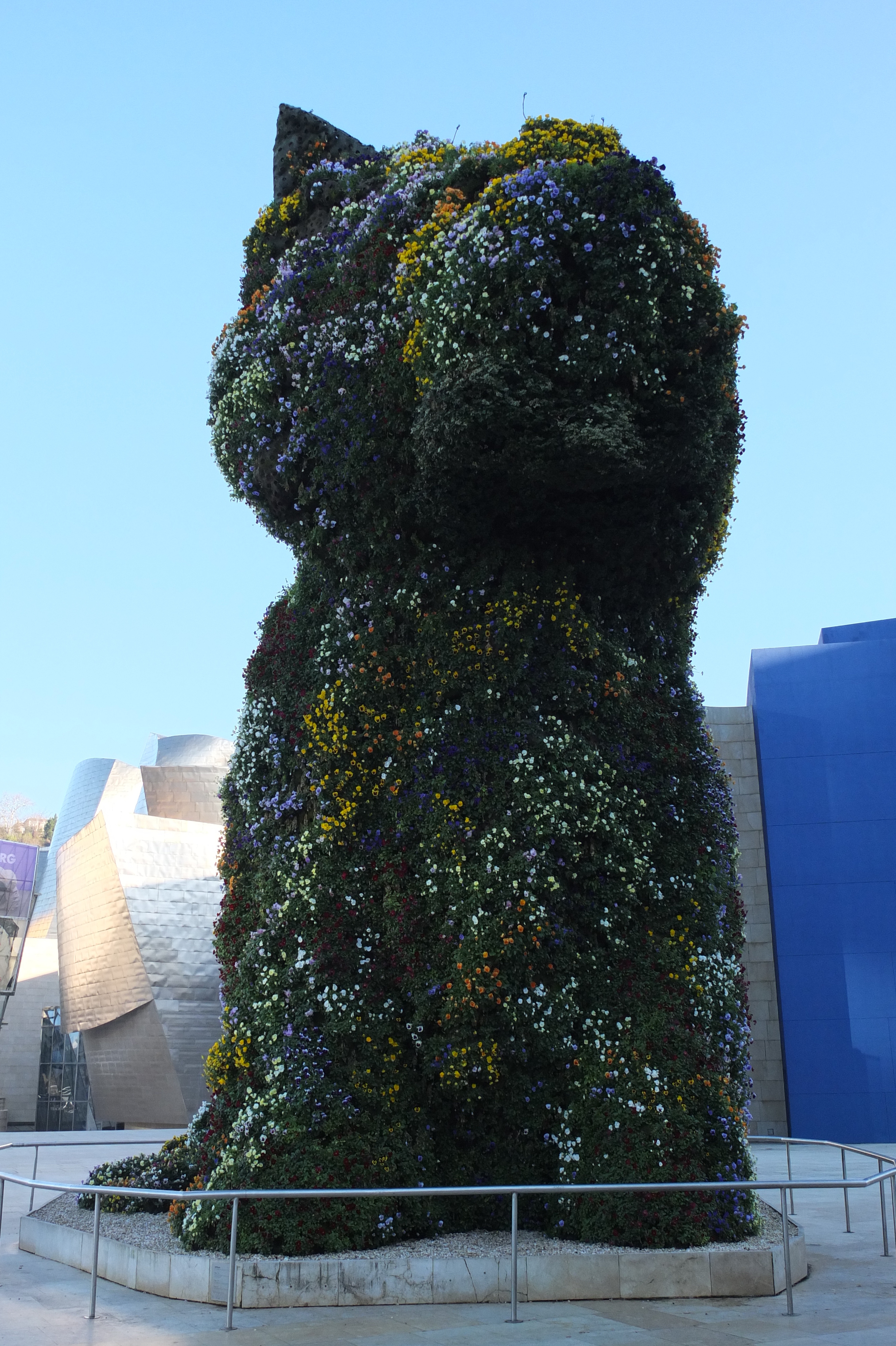 รูปถ่าย สเปน(Spain) บิลบาโอ(Bilbao) 2013-01 17