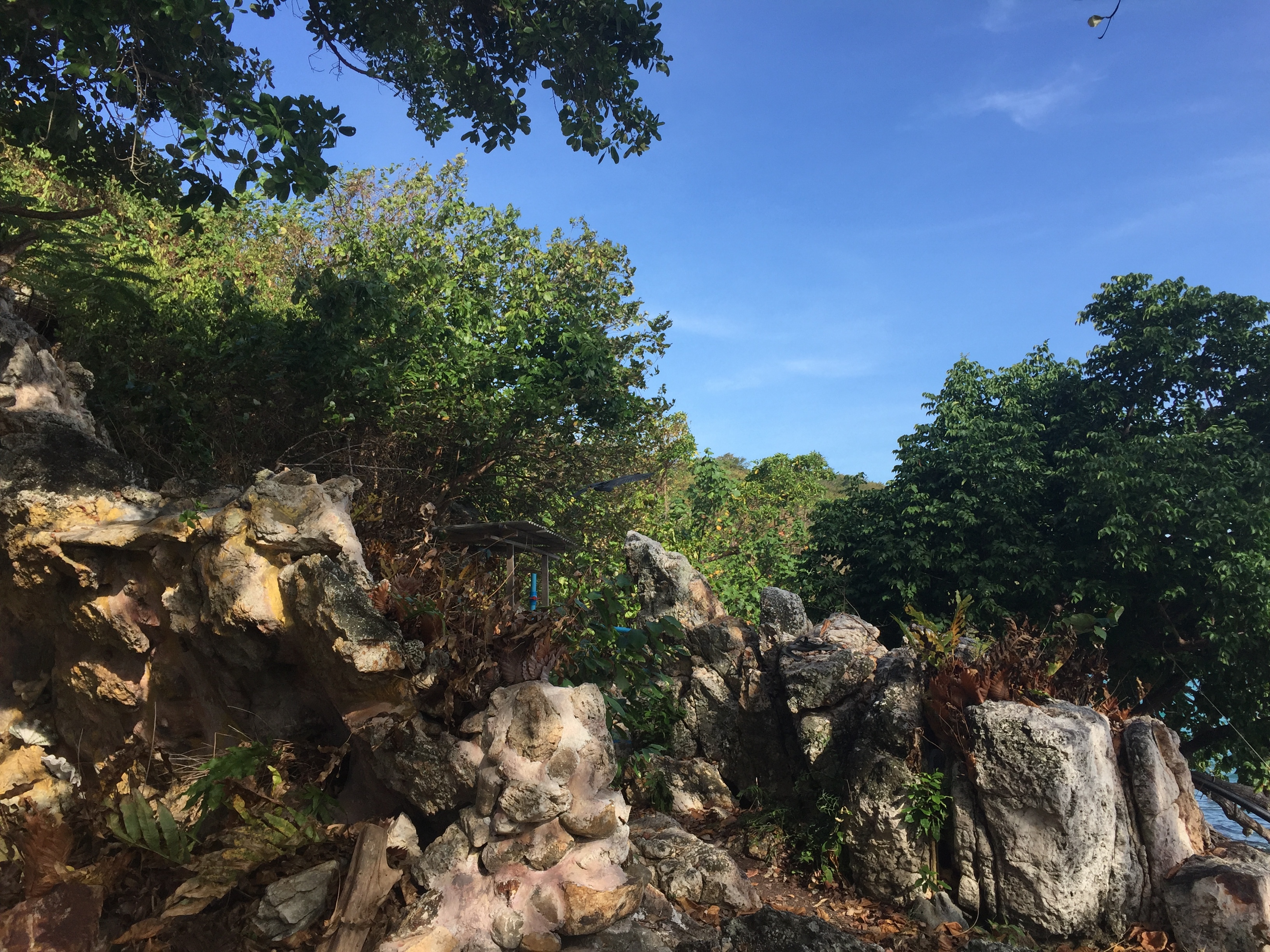 รูปถ่าย ไทย(Thailand) เกาะเสม็ด(Ko Samet) 2016-12 42