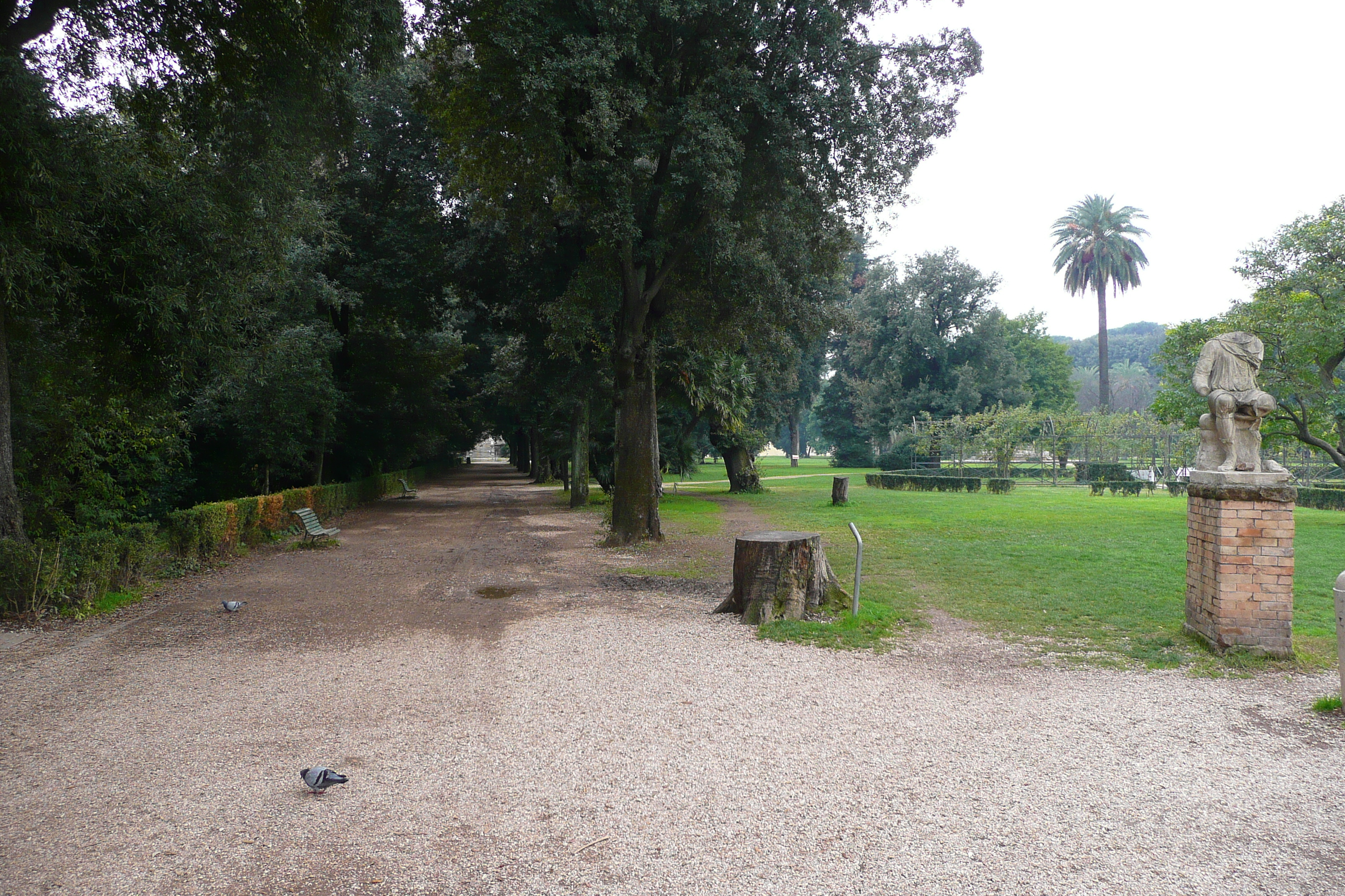 รูปถ่าย อิตาลี(Italy) โรม(Rome) วิลลาโดเรียปัมฟีลี(Villa Doria Pamphili) 2007-11 60