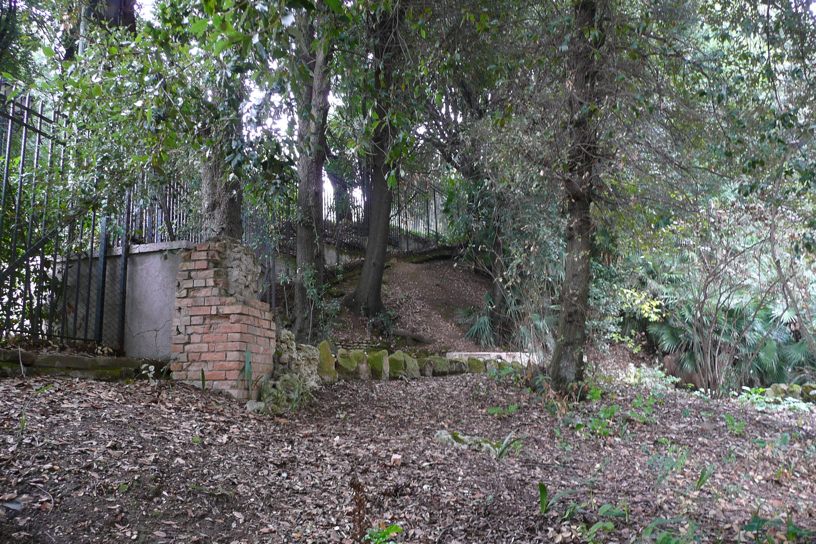 รูปถ่าย อิตาลี(Italy) โรม(Rome) วิลลาโดเรียปัมฟีลี(Villa Doria Pamphili) 2007-11 32