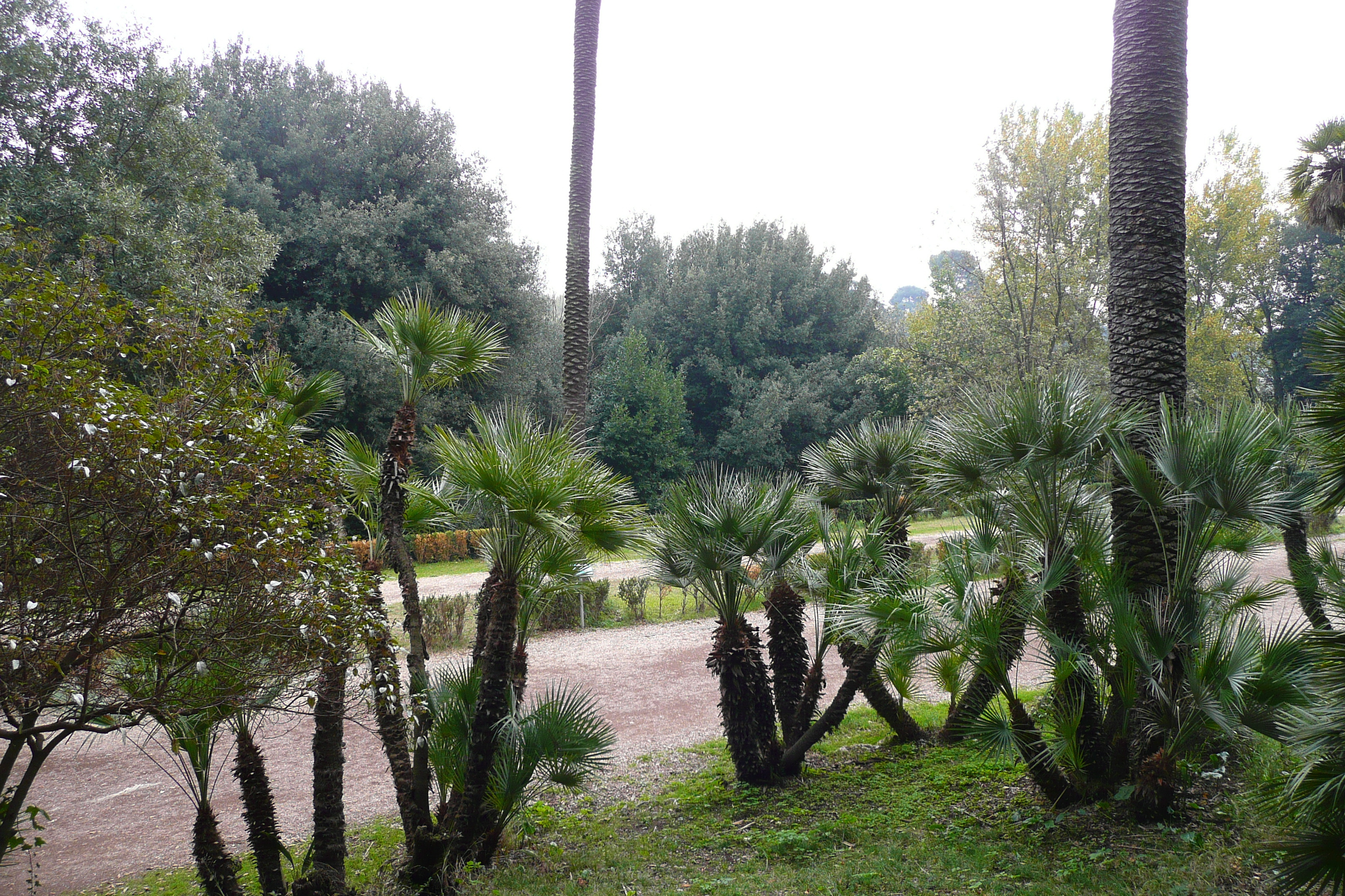 รูปถ่าย อิตาลี(Italy) โรม(Rome) วิลลาโดเรียปัมฟีลี(Villa Doria Pamphili) 2007-11 24