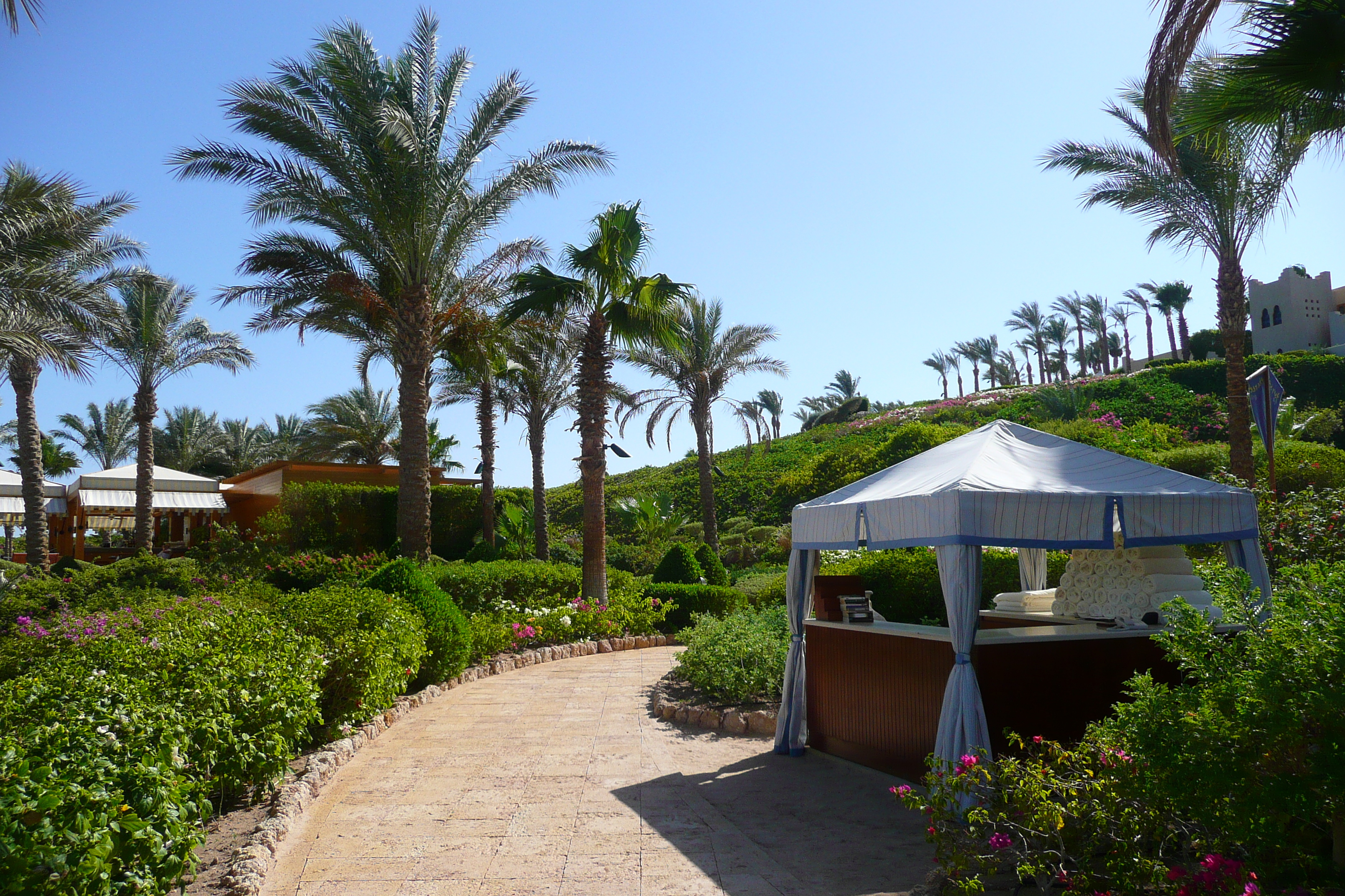 รูปถ่าย อียิปต์(Egypt) ชาร์มเอลชีค(Sharm el Sheikh) โรงแรมโฟร์ซีซันส์(Four Seasons Hotel) หาดโฟร์ซีซันส์(Four Seasons Beach) 2008-06 21