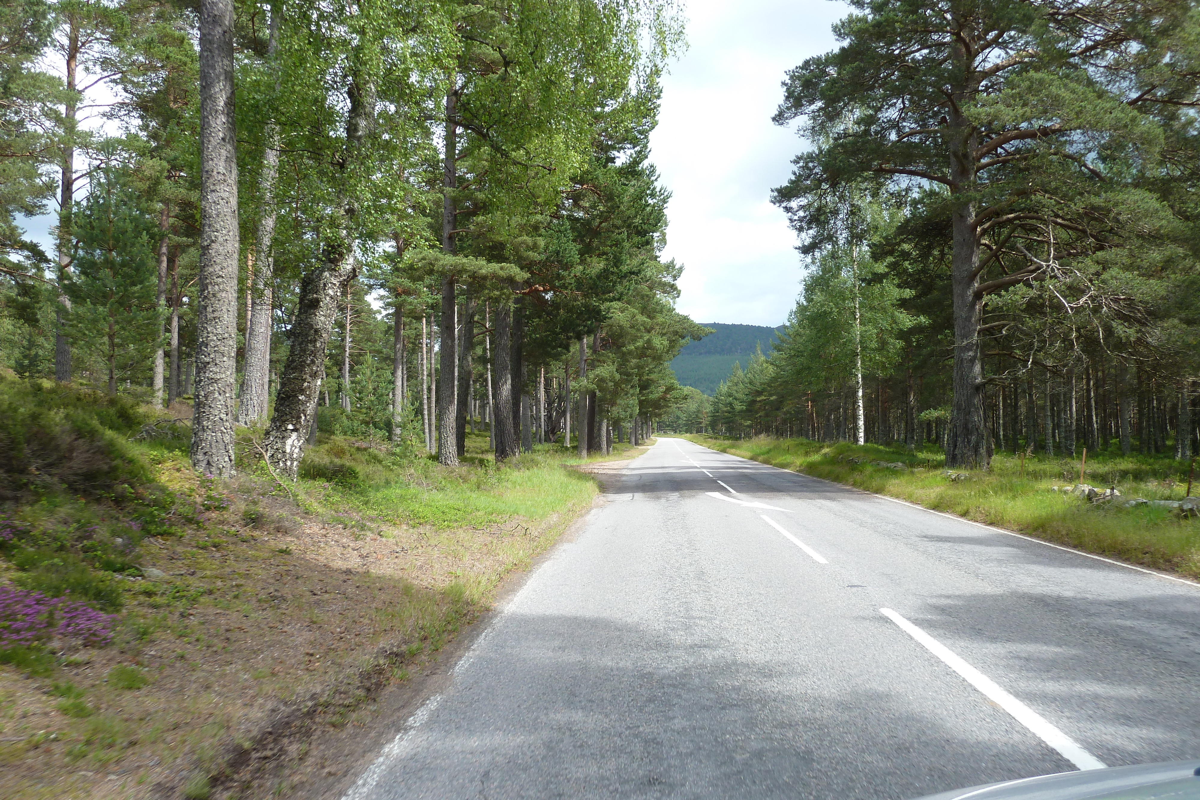 รูปถ่าย อังกฤษ(United Kingdom) สกอตแลนด์(Scotland) อุทยานแห่งชาติแคร์นกอร์มส์(Cairngorms National Park) สะพานอินเวอร์คอลด์(Invercauld Bridge) 2011-07 14