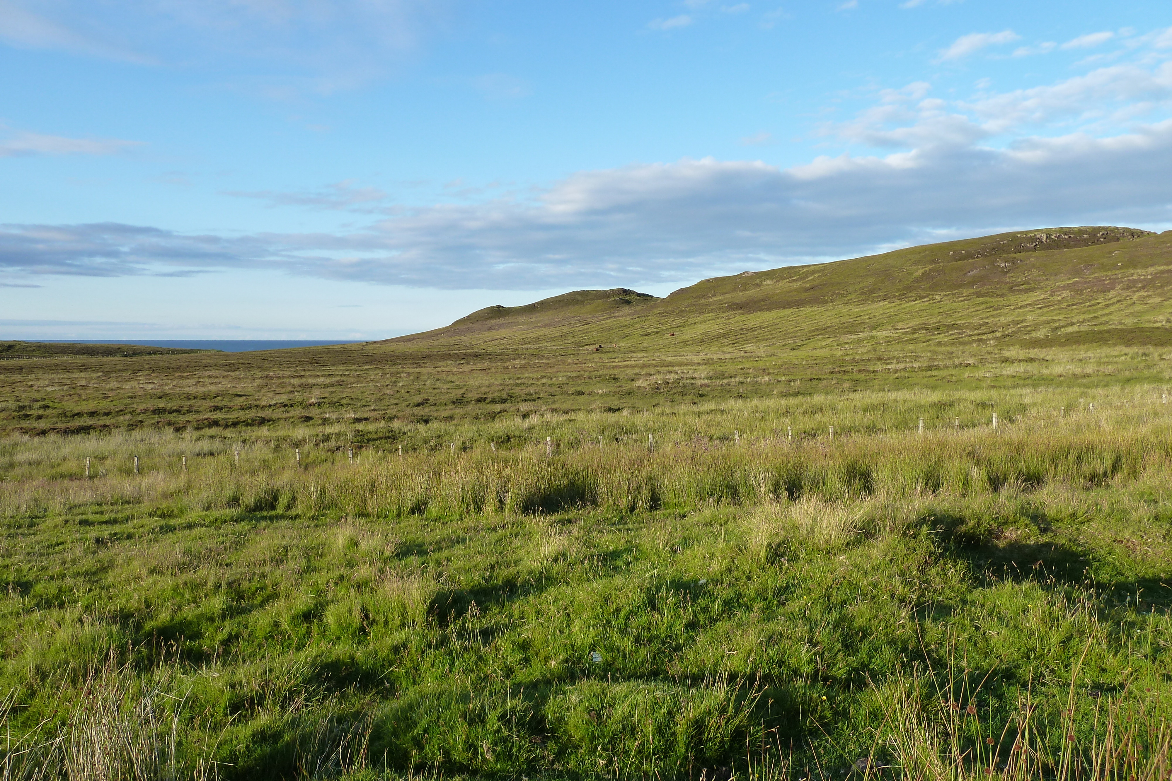 รูปถ่าย อังกฤษ(United Kingdom) สกอตแลนด์(Scotland) 2011-07 235