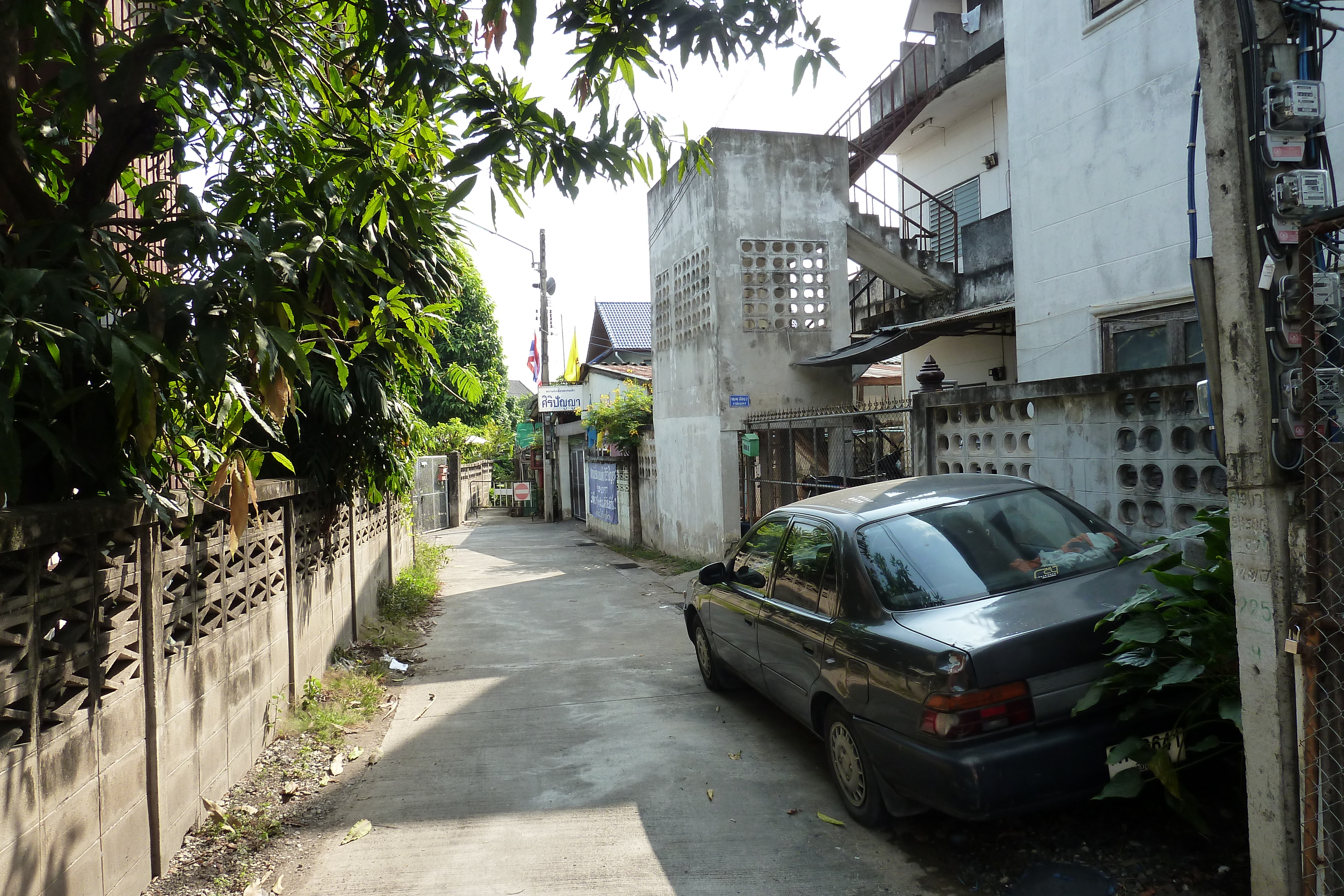 รูปถ่าย ไทย(Thailand) เชียงใหม่(Chiang Mai) 2010-12 31