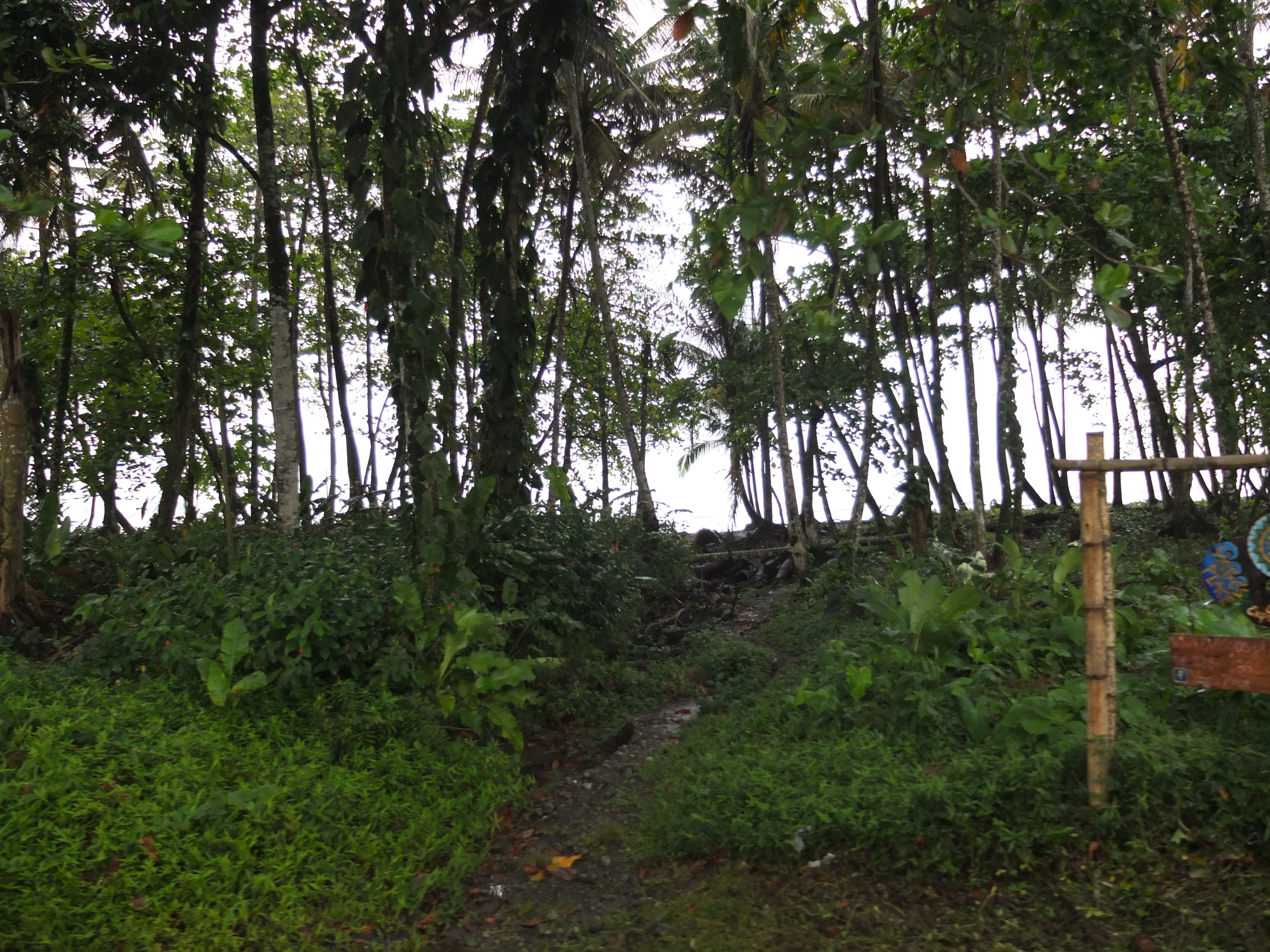 รูปถ่าย คอสตาริกา(Costa Rica) ปวยร์โตเบียโฆเดตาลามังกา(Puerto Viejo de Talamanca) 2015-03 8