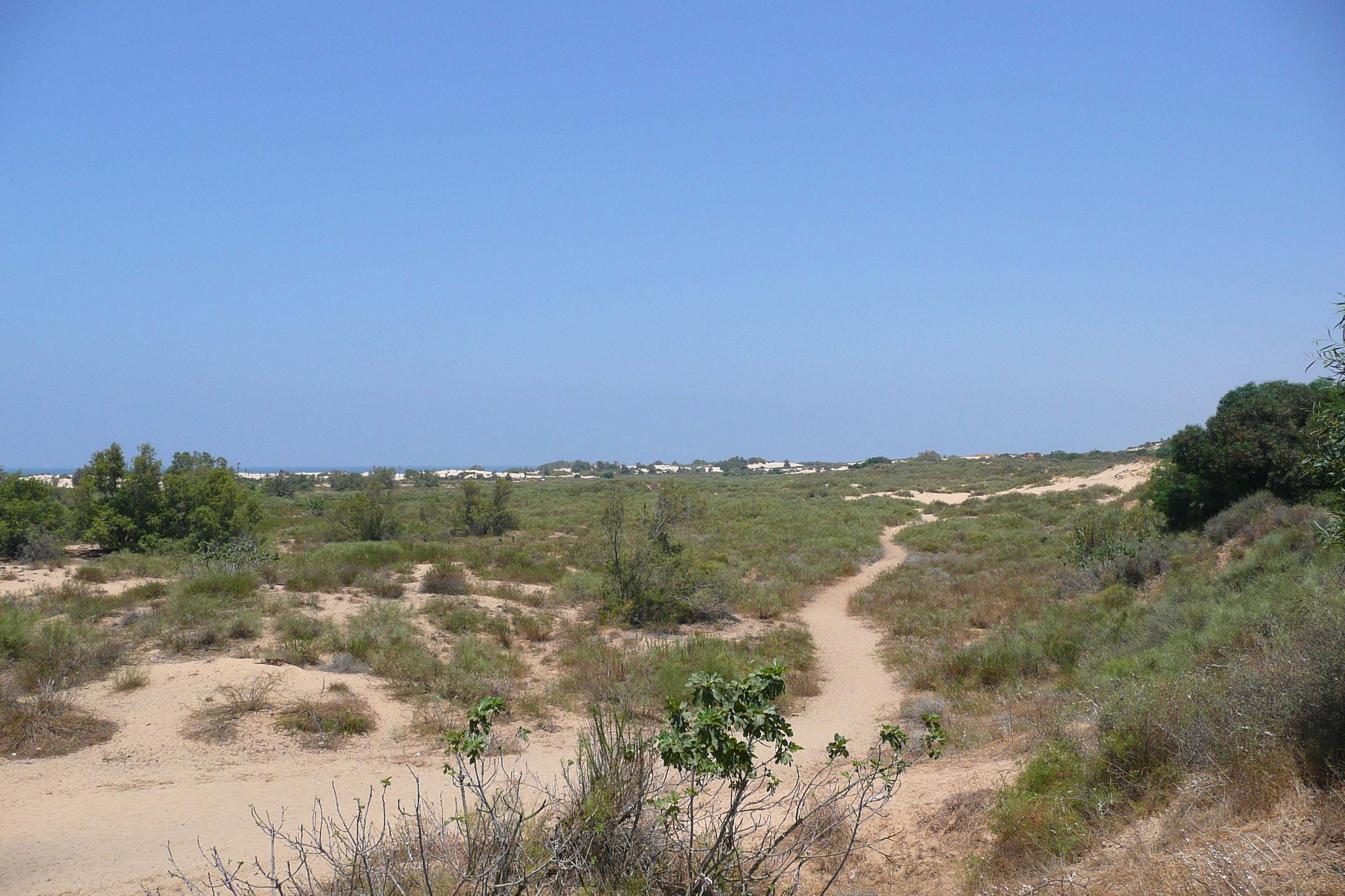 รูปถ่าย อิสราเอล(Israel) นิทซาน(Nitzan) 2007-06 15
