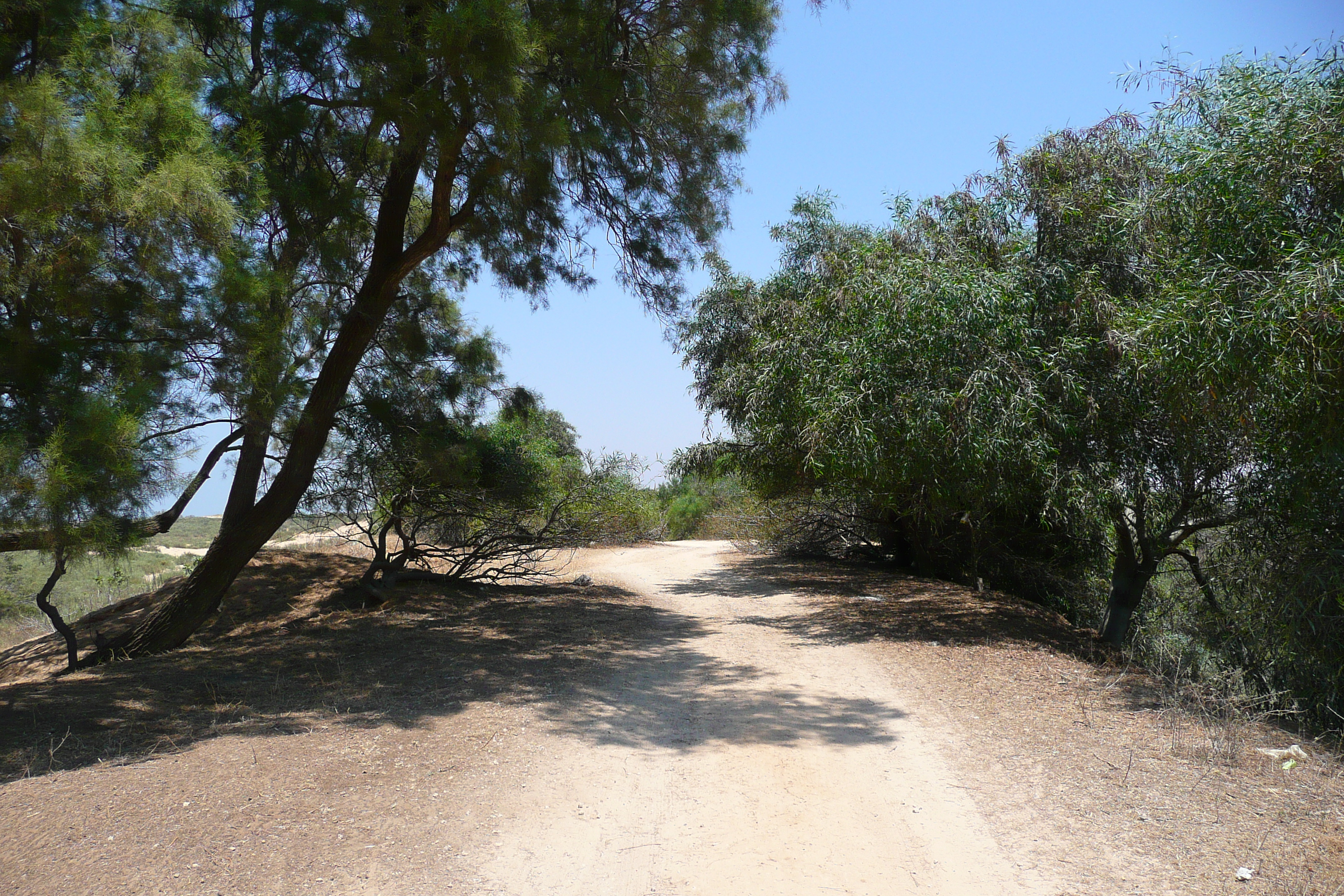 รูปถ่าย อิสราเอล(Israel) นิทซาน(Nitzan) 2007-06 91