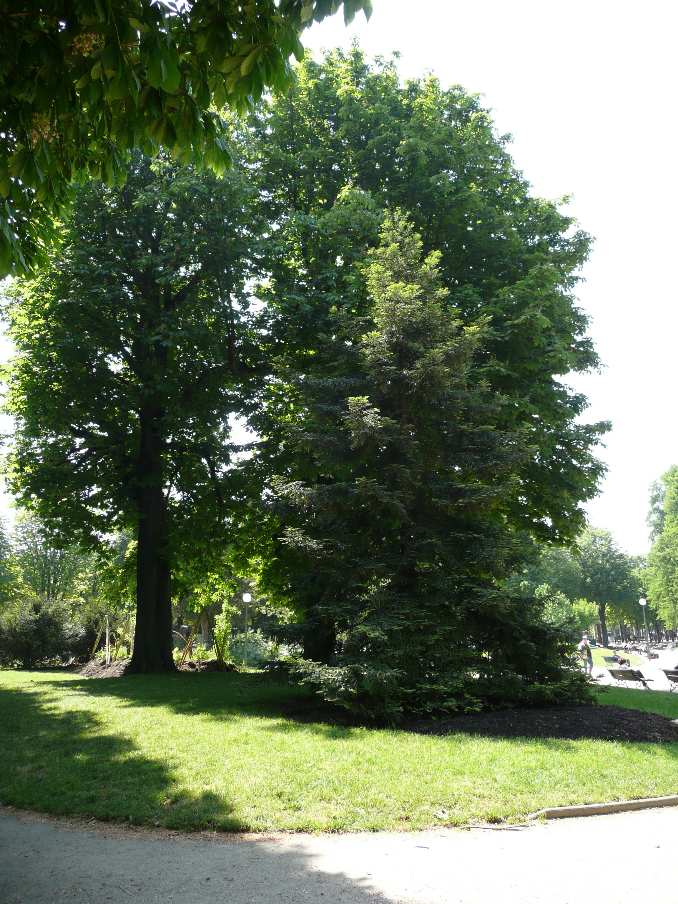 รูปถ่าย ฝรั่งเศส(France) ปารีส(Paris) ช็องเซลีเซ(Champs Elysees) 2007-05 21