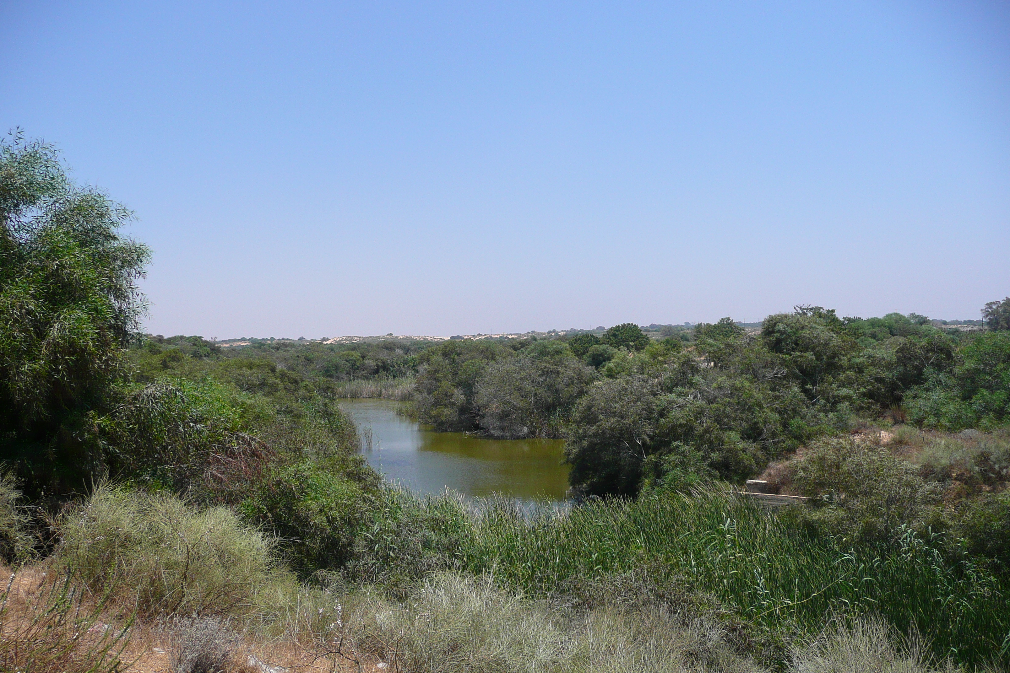 รูปถ่าย อิสราเอล(Israel) นิทซาน(Nitzan) 2007-06 96