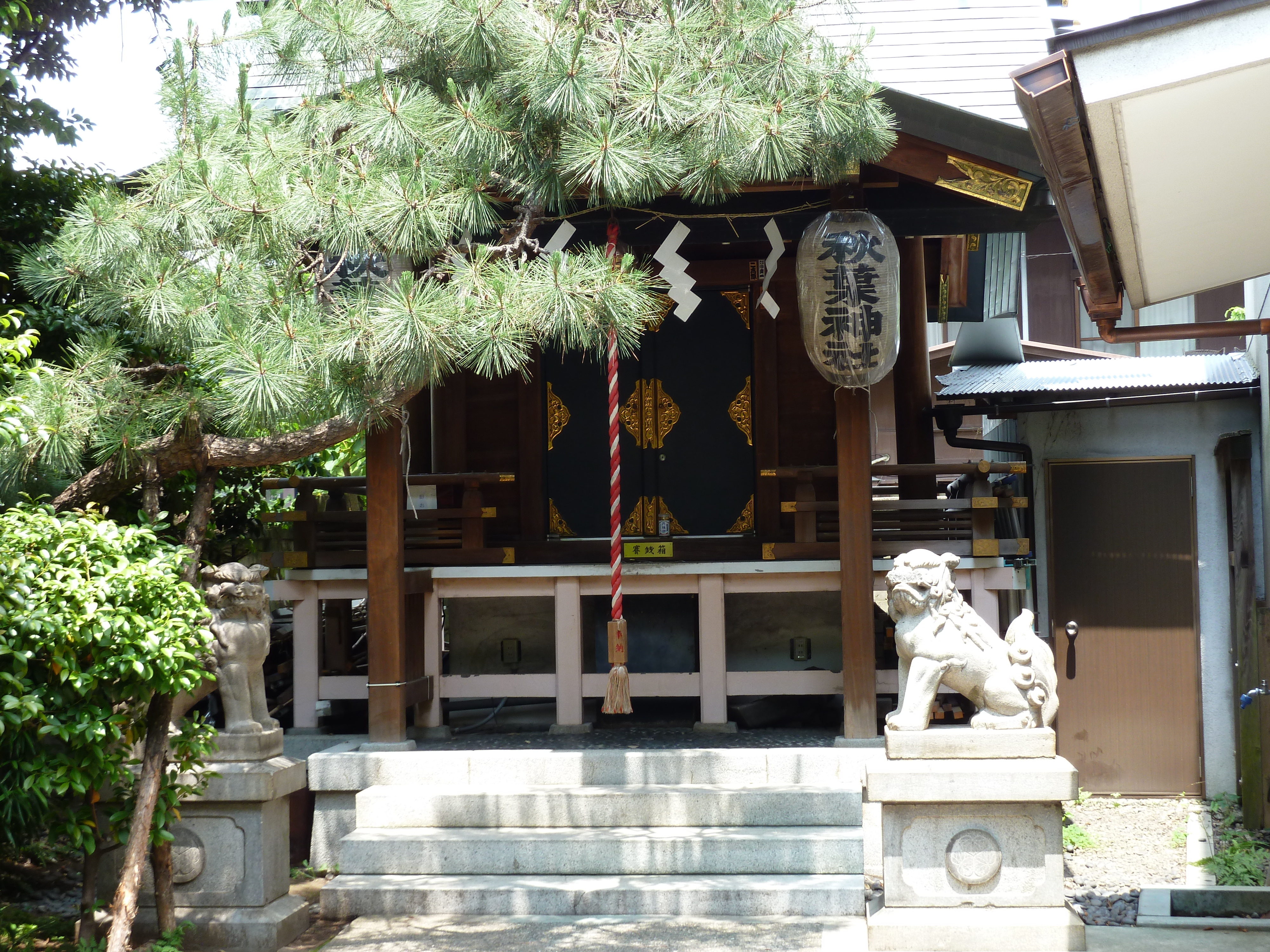 รูปถ่าย ญี่ปุ่น(Japan) โตเกียว(Tokyo) โอโมเตะซันโด(Omotesando) 2010-06 69