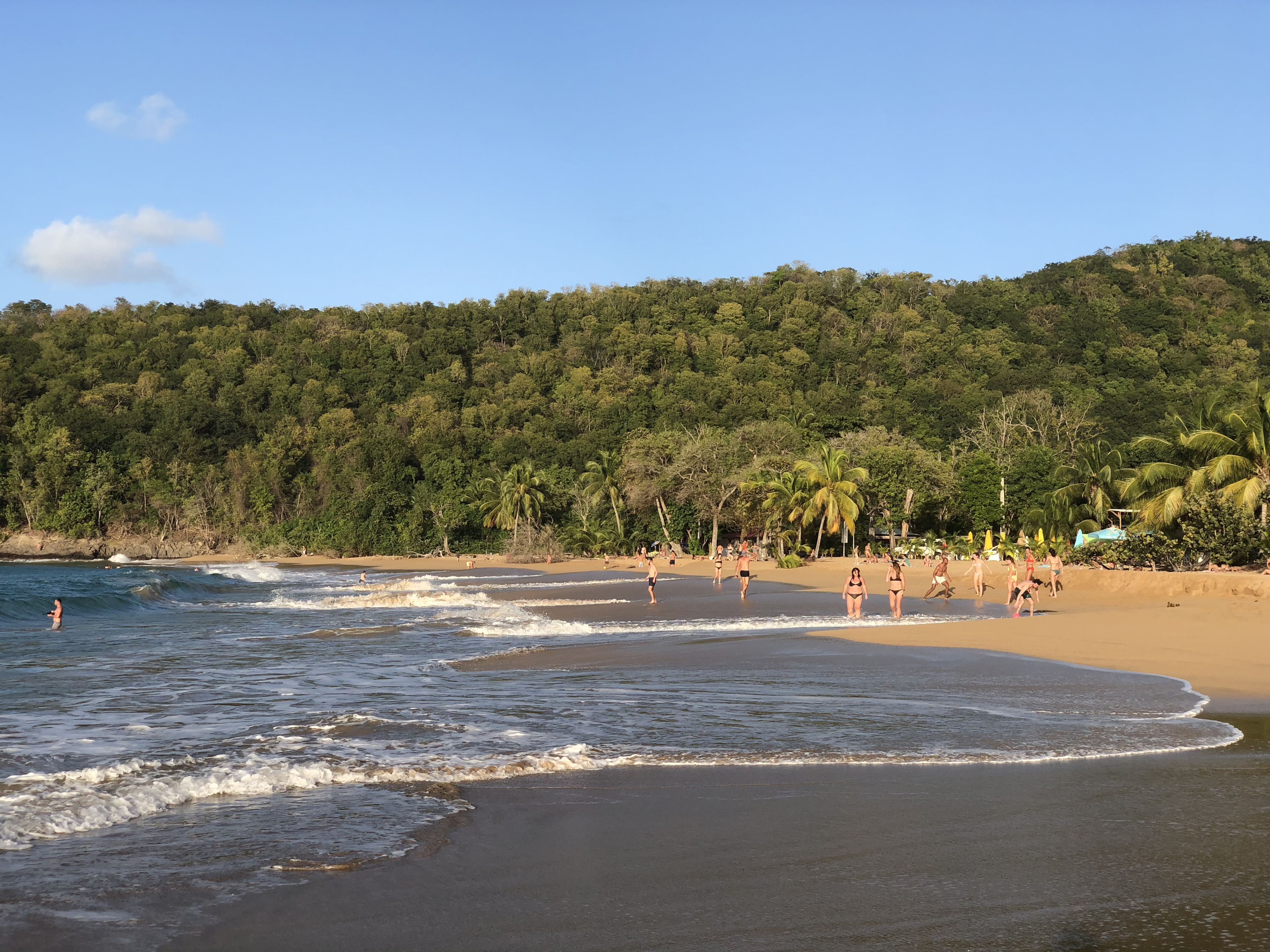 รูปถ่าย กวาเดอลูป(Guadeloupe) หาดลาแปร์ล(La Perle Beach) 2021-02 11
