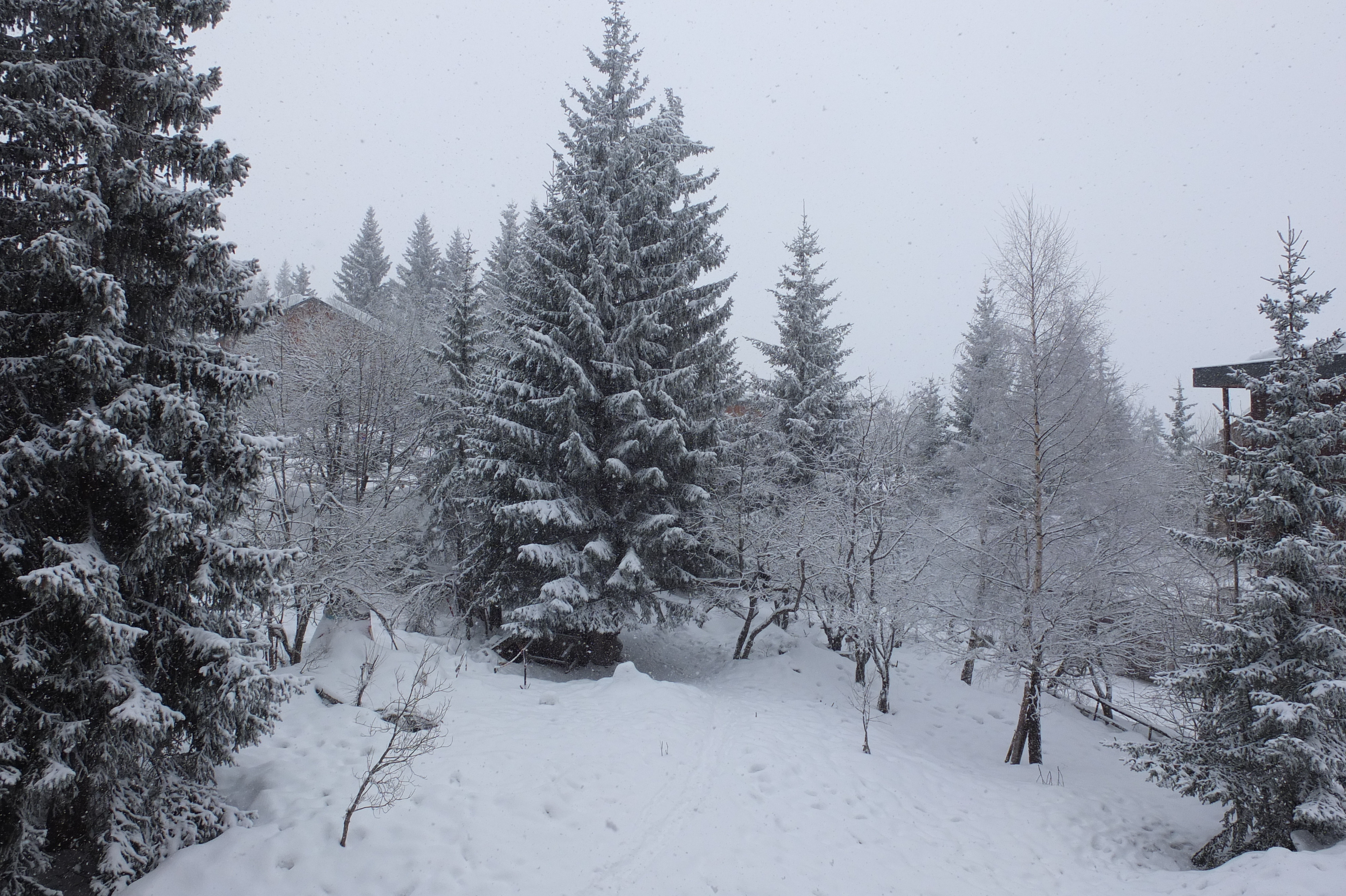 รูปถ่าย ฝรั่งเศส(France) เลทรัววาเล(Les 3 Vallees) 2013-03 101