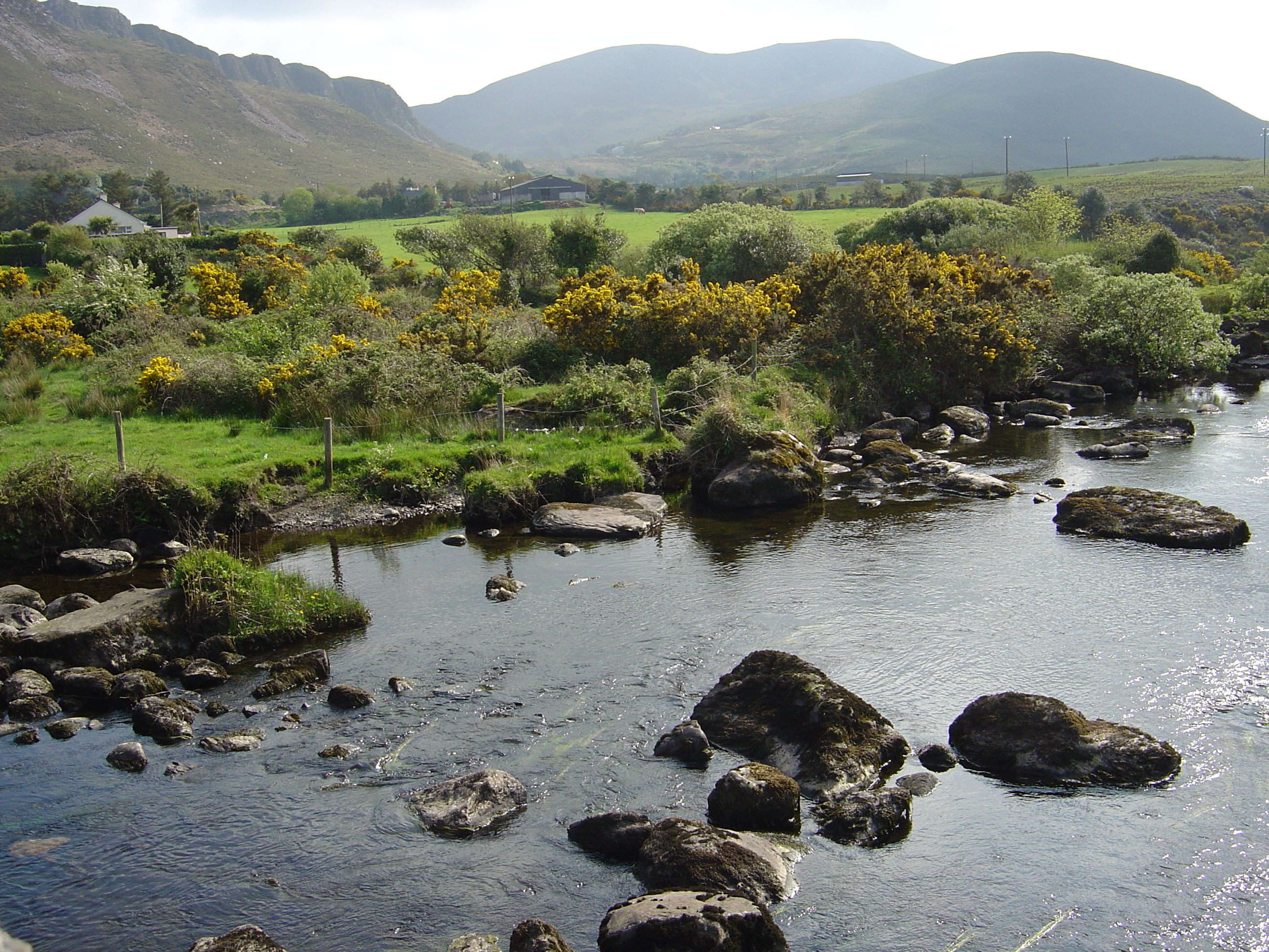 รูปถ่าย ไอร์แลนด์(Ireland) เคอร์รี่(Kerry) ทะเลสาบคารา(Caragh Lake) 2004-05 31