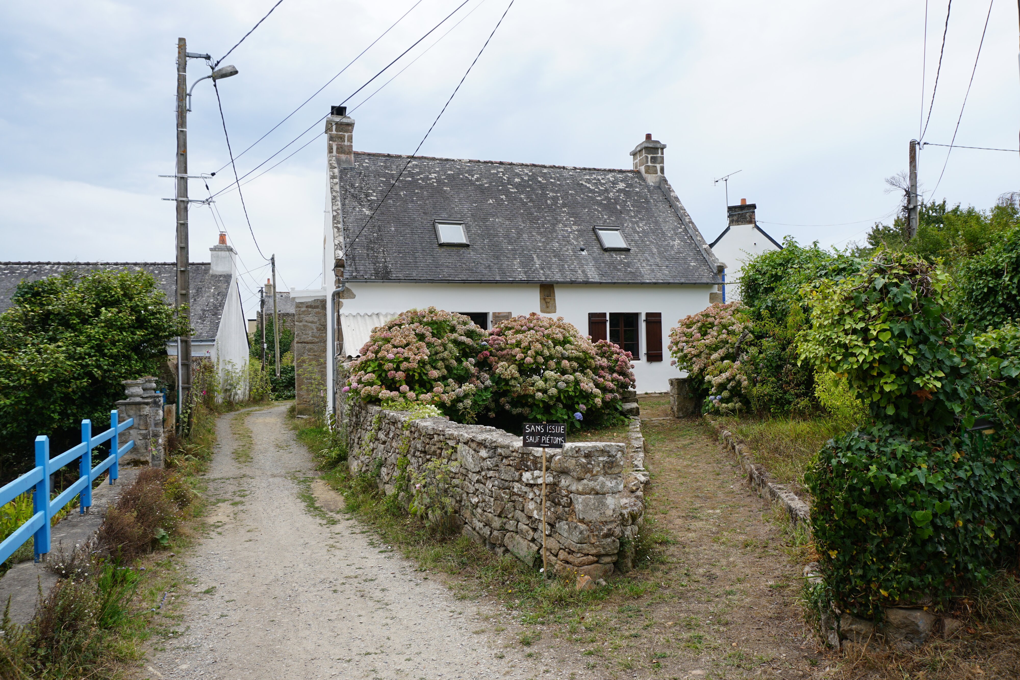รูปถ่าย ฝรั่งเศส(France) เกาะโอมวน(Ile-aux-Moines) 2016-08 90