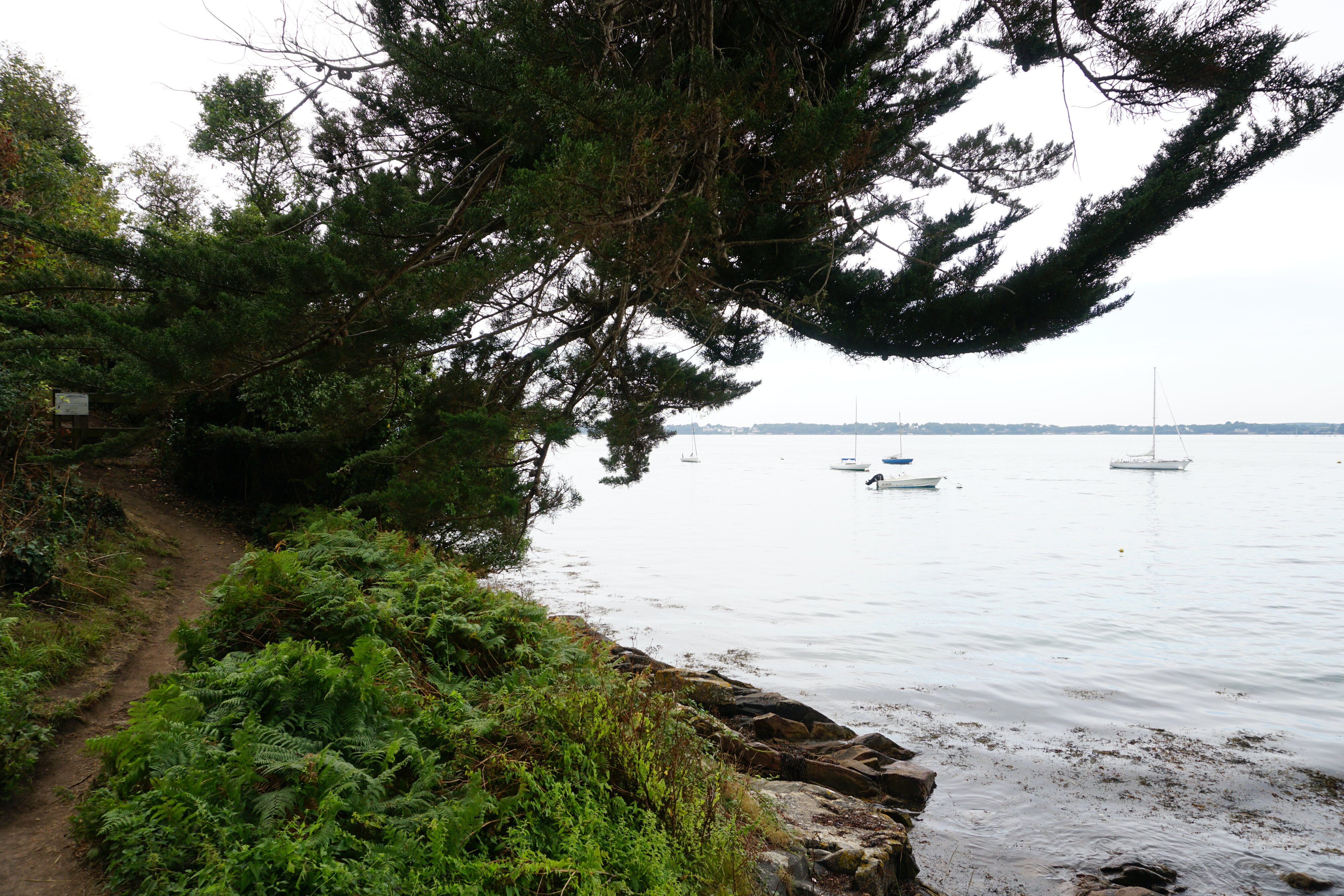 รูปถ่าย ฝรั่งเศส(France) เกาะโอมวน(Ile-aux-Moines) 2016-08 113
