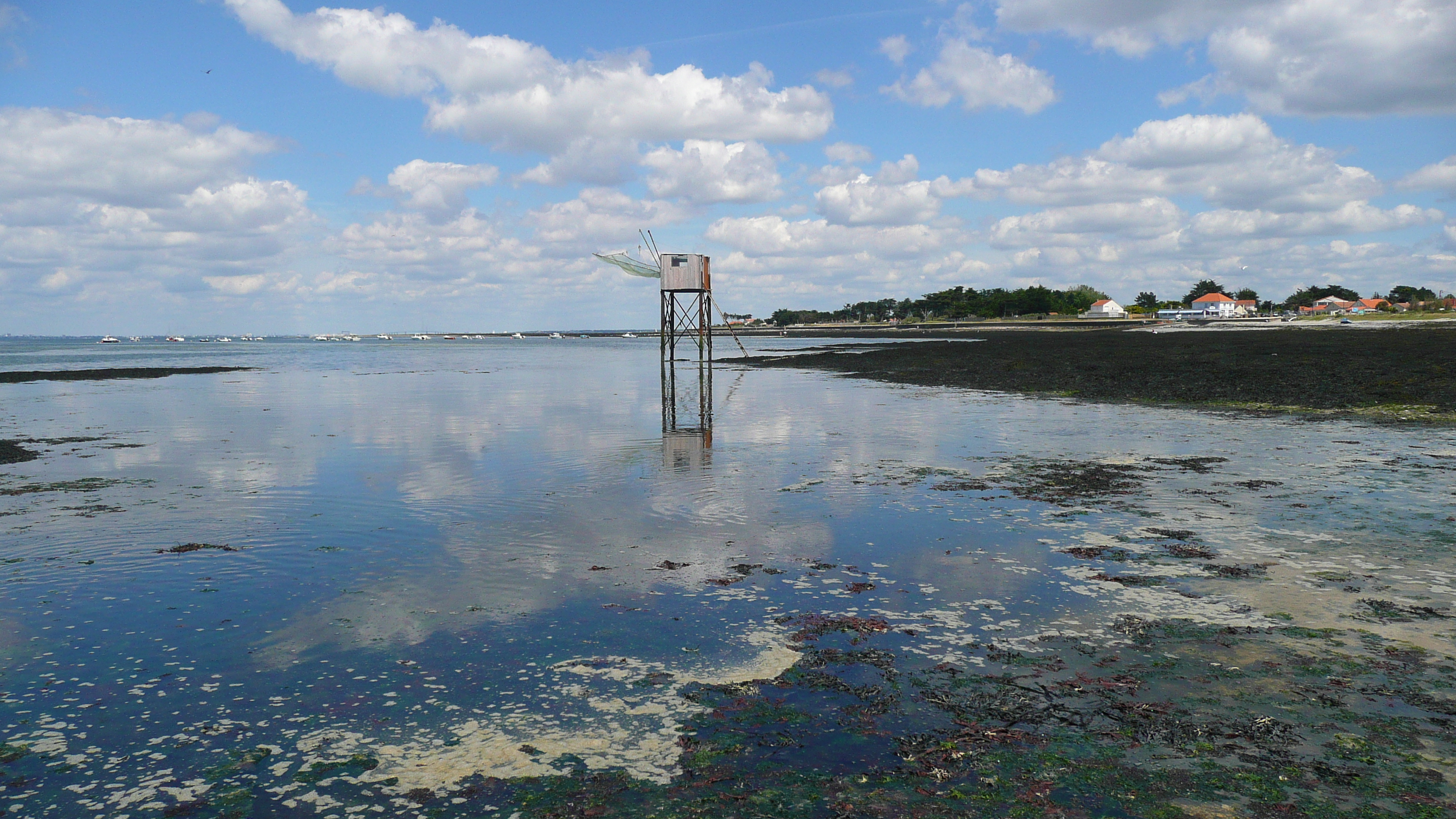 รูปถ่าย ฝรั่งเศส(France) เพรฟาย(Prefailles) จากแหลมแซ็ง-ฌีลดาไปลาเปร(La pointe Saint Gildas to La Pree) 2007-08 59