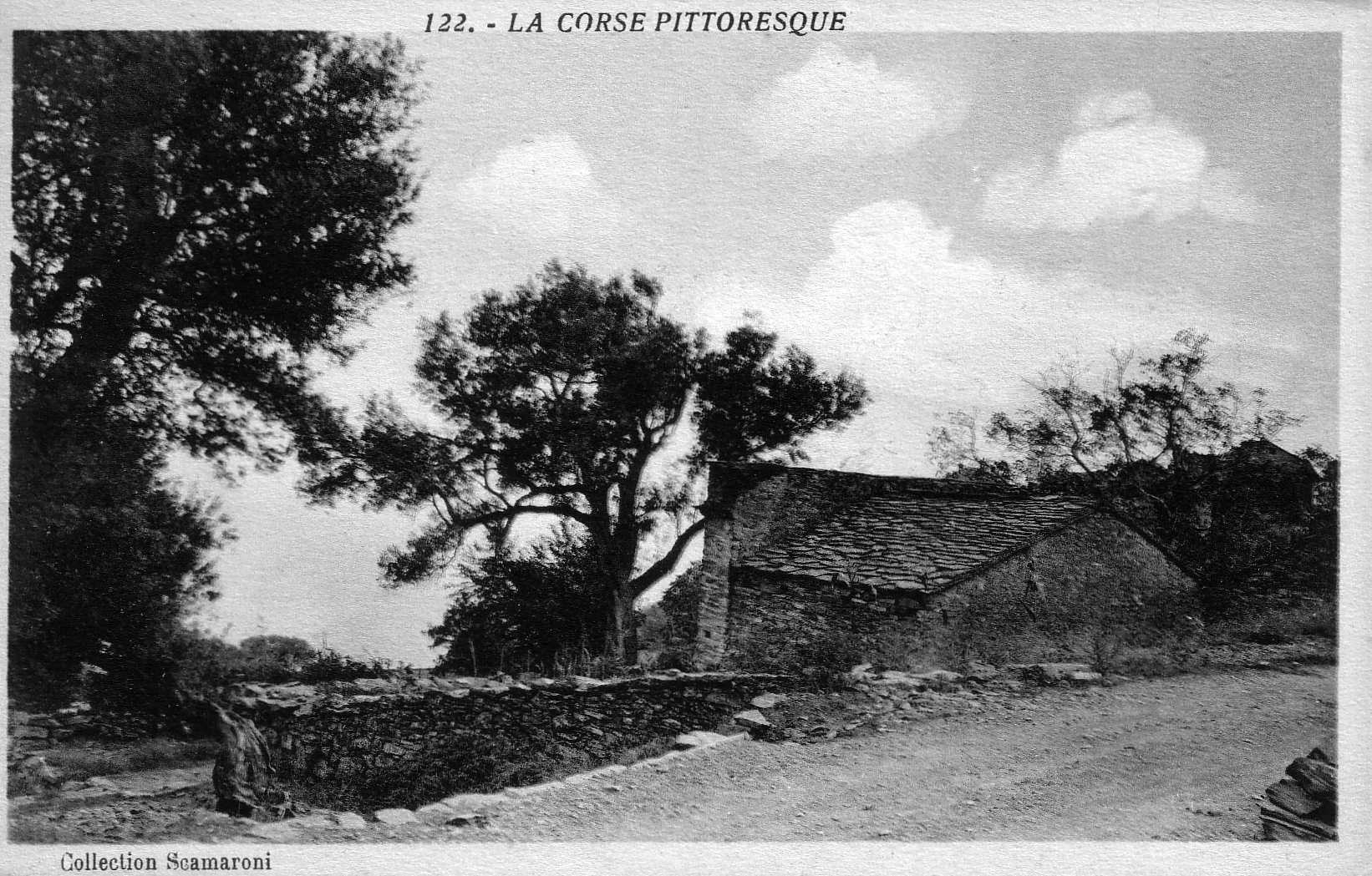 รูปถ่าย ฝรั่งเศส(France) คอร์สิคา(Corsica) โปสการ์ดเก่า(Old Postcards) 1900-01 275