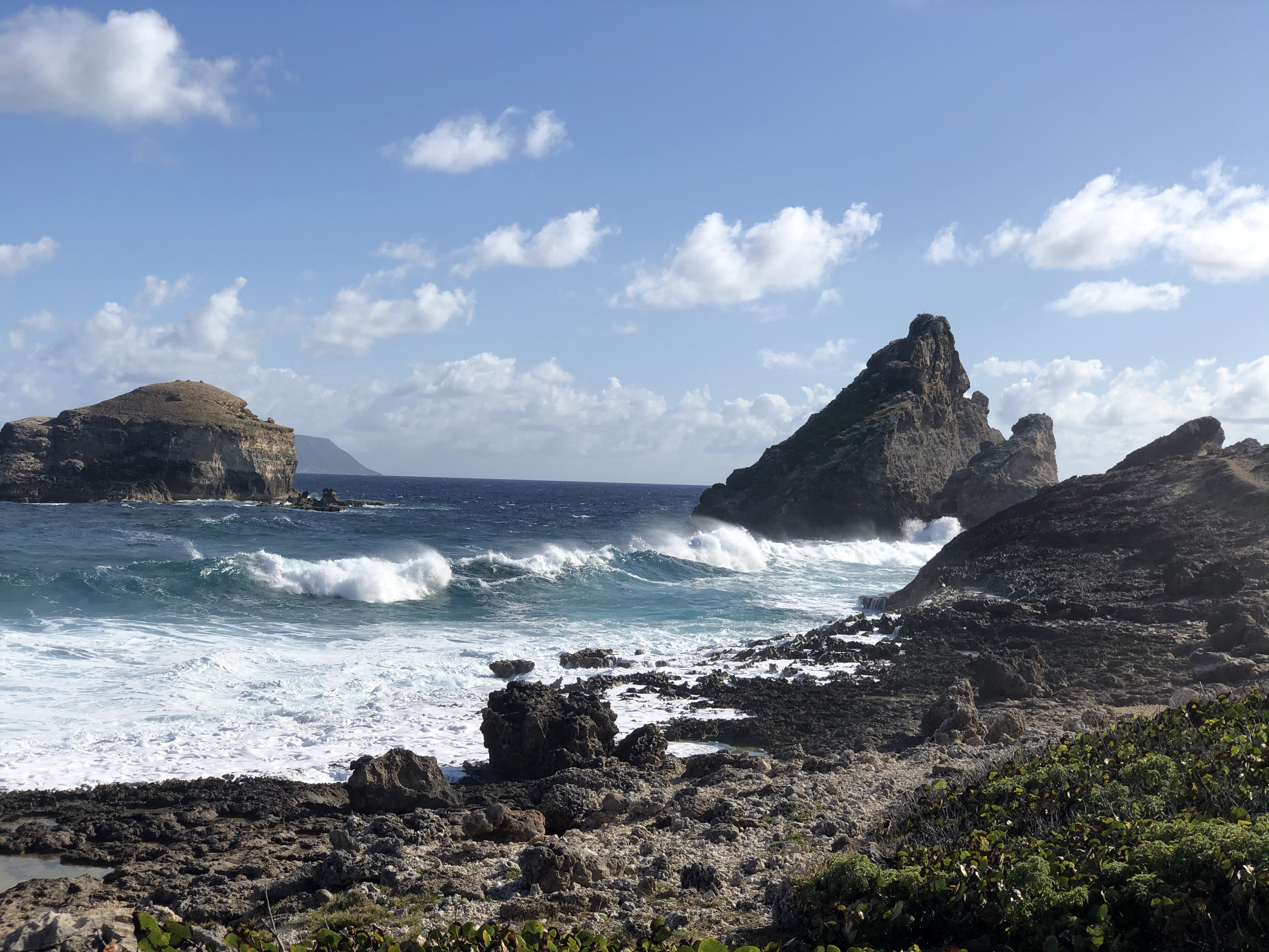รูปถ่าย กวาเดอลูป(Guadeloupe) แหลมคาสเซิลพอยต์(Castle Point) 2021-02 351