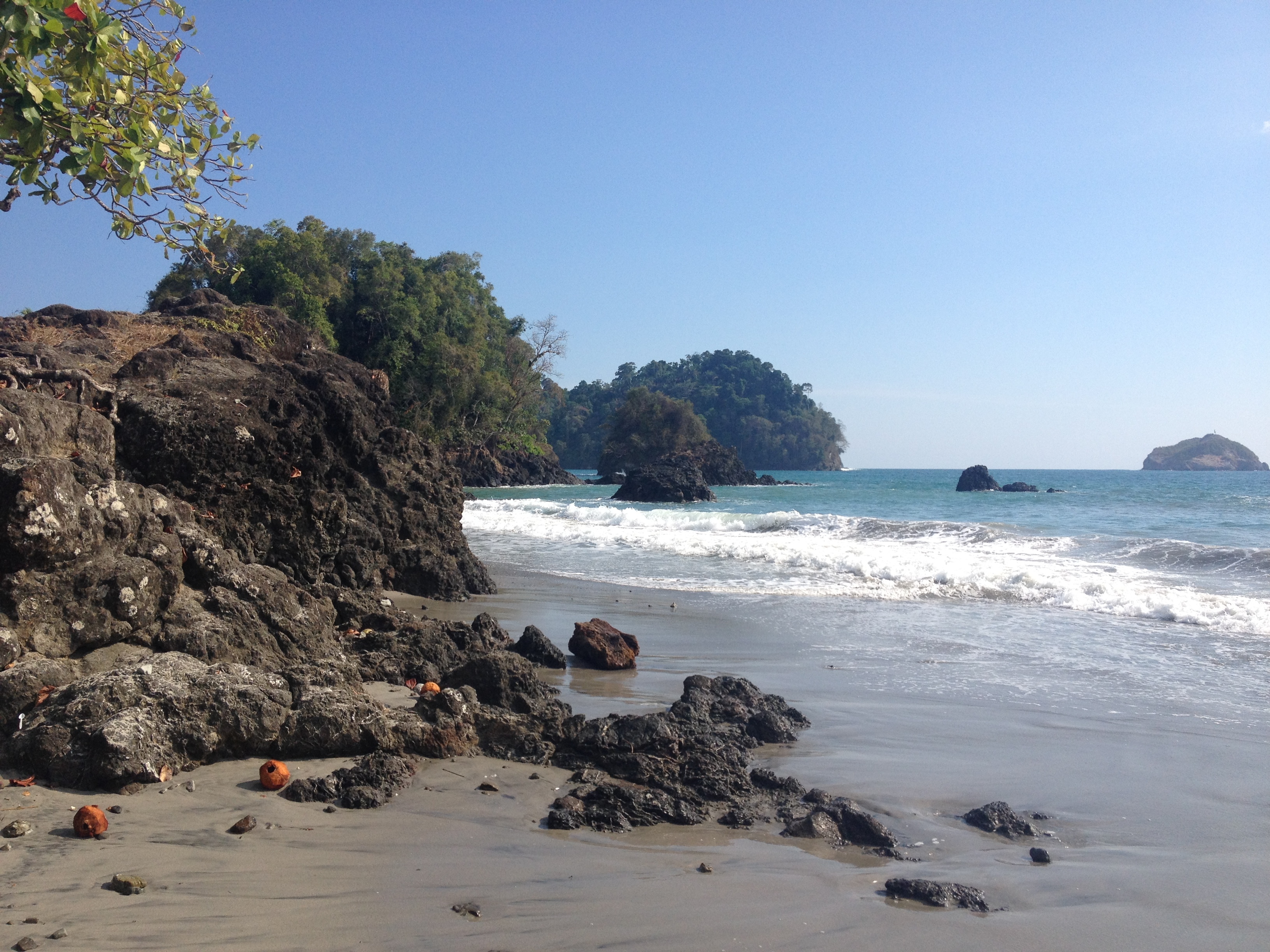 รูปถ่าย คอสตาริกา(Costa Rica) มานวยล์อันโตนีโอ(Manuel Antonio) 2015-03 393