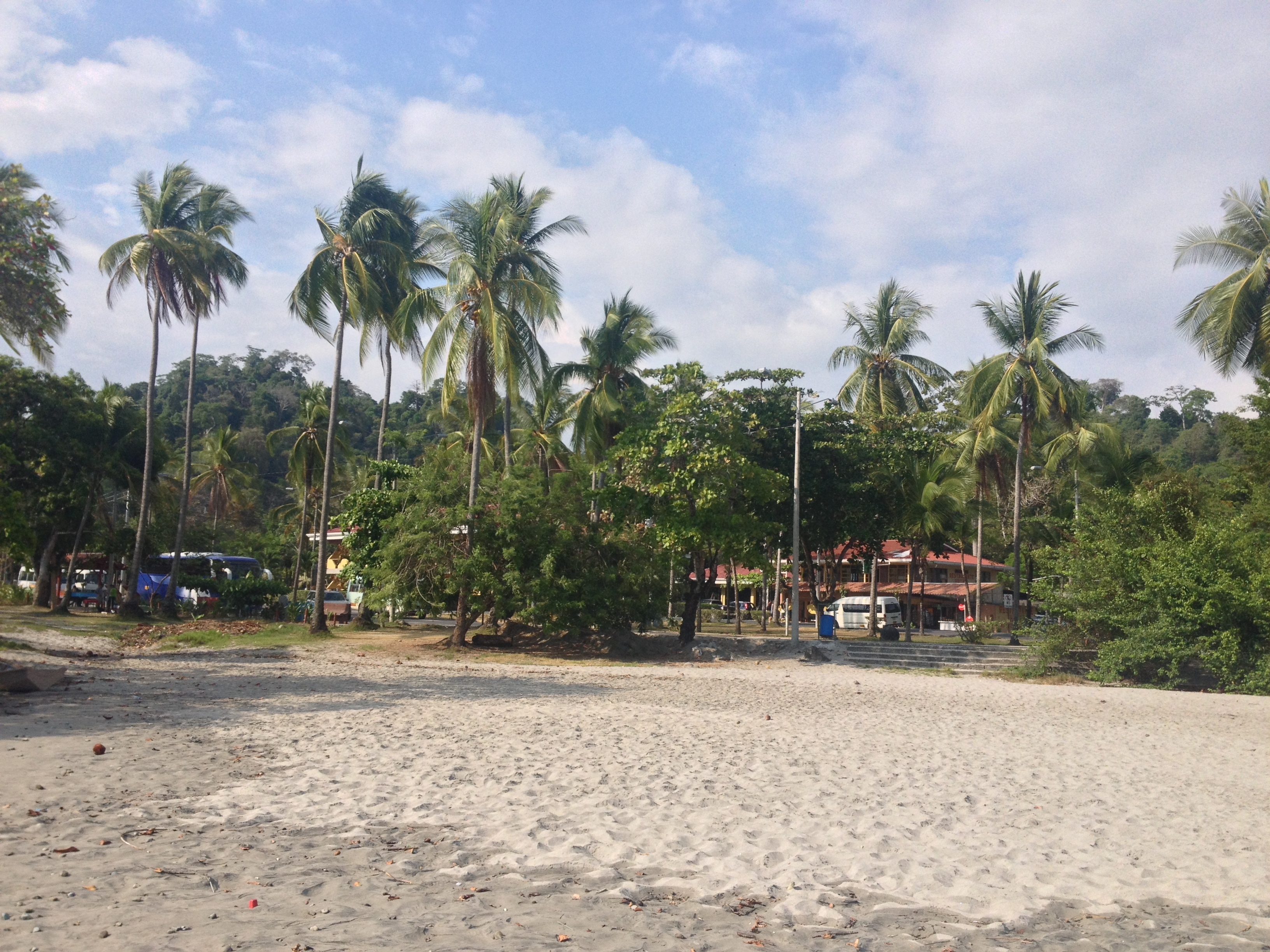 รูปถ่าย คอสตาริกา(Costa Rica) มานวยล์อันโตนีโอ(Manuel Antonio) 2015-03 349
