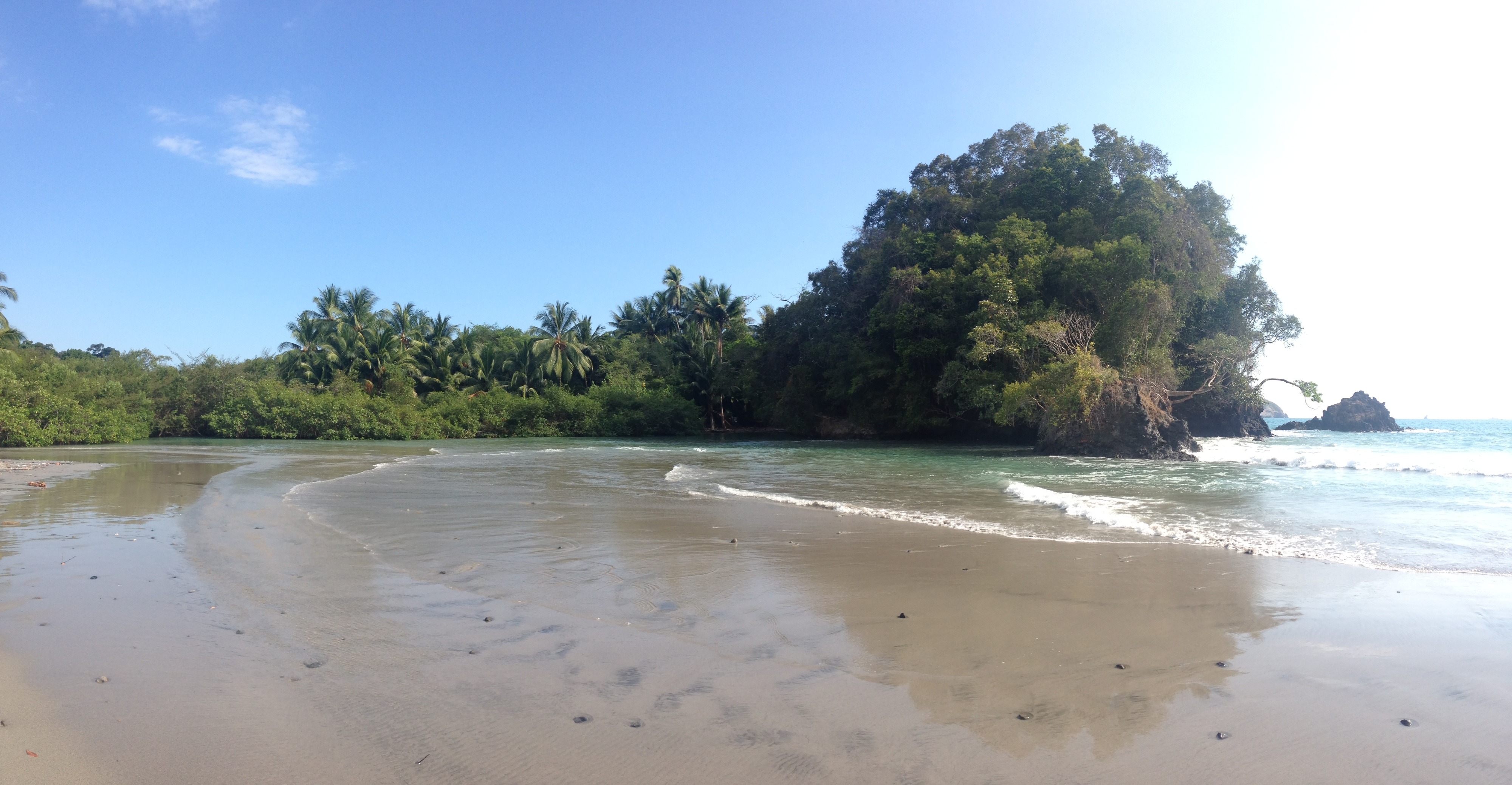 รูปถ่าย คอสตาริกา(Costa Rica) มานวยล์อันโตนีโอ(Manuel Antonio) 2015-03 288