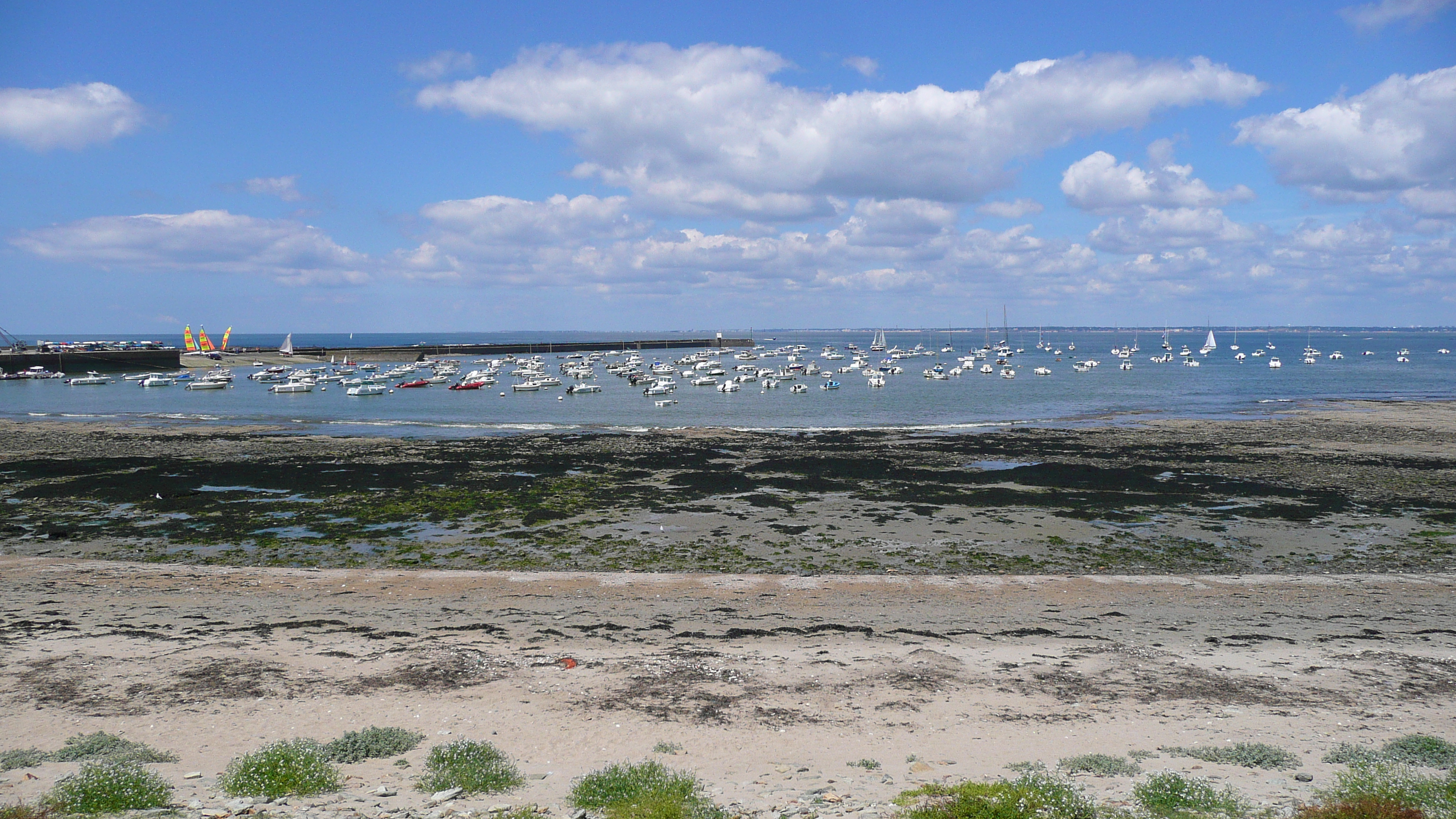 รูปถ่าย ฝรั่งเศส(France) เพรฟาย(Prefailles) แหลมแซ็ง-ฌีลดา(La pointe Saint Gildas) 2007-08 14