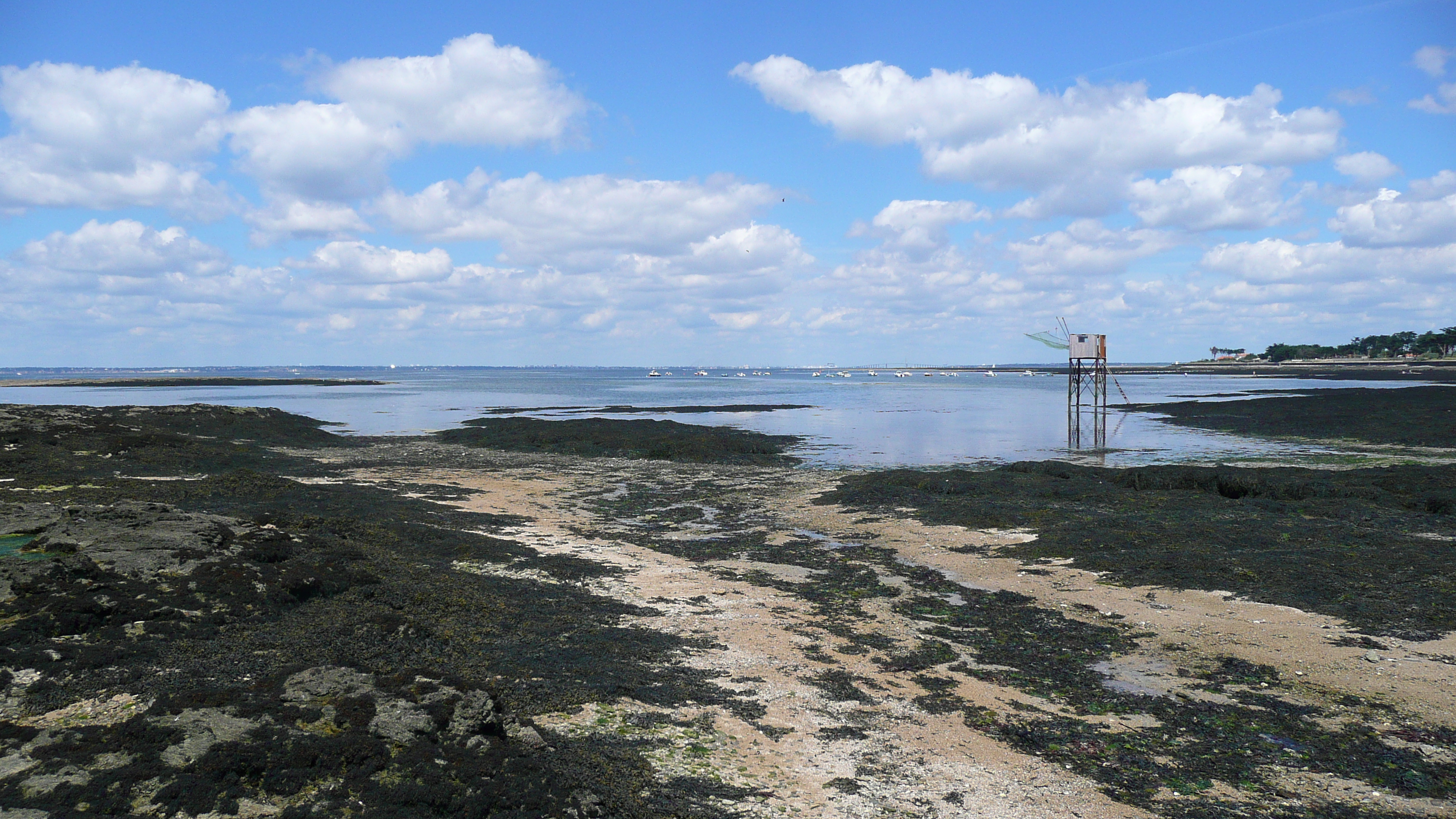 รูปถ่าย ฝรั่งเศส(France) เพรฟาย(Prefailles) จากแหลมแซ็ง-ฌีลดาไปลาเปร(La pointe Saint Gildas to La Pree) 2007-08 58