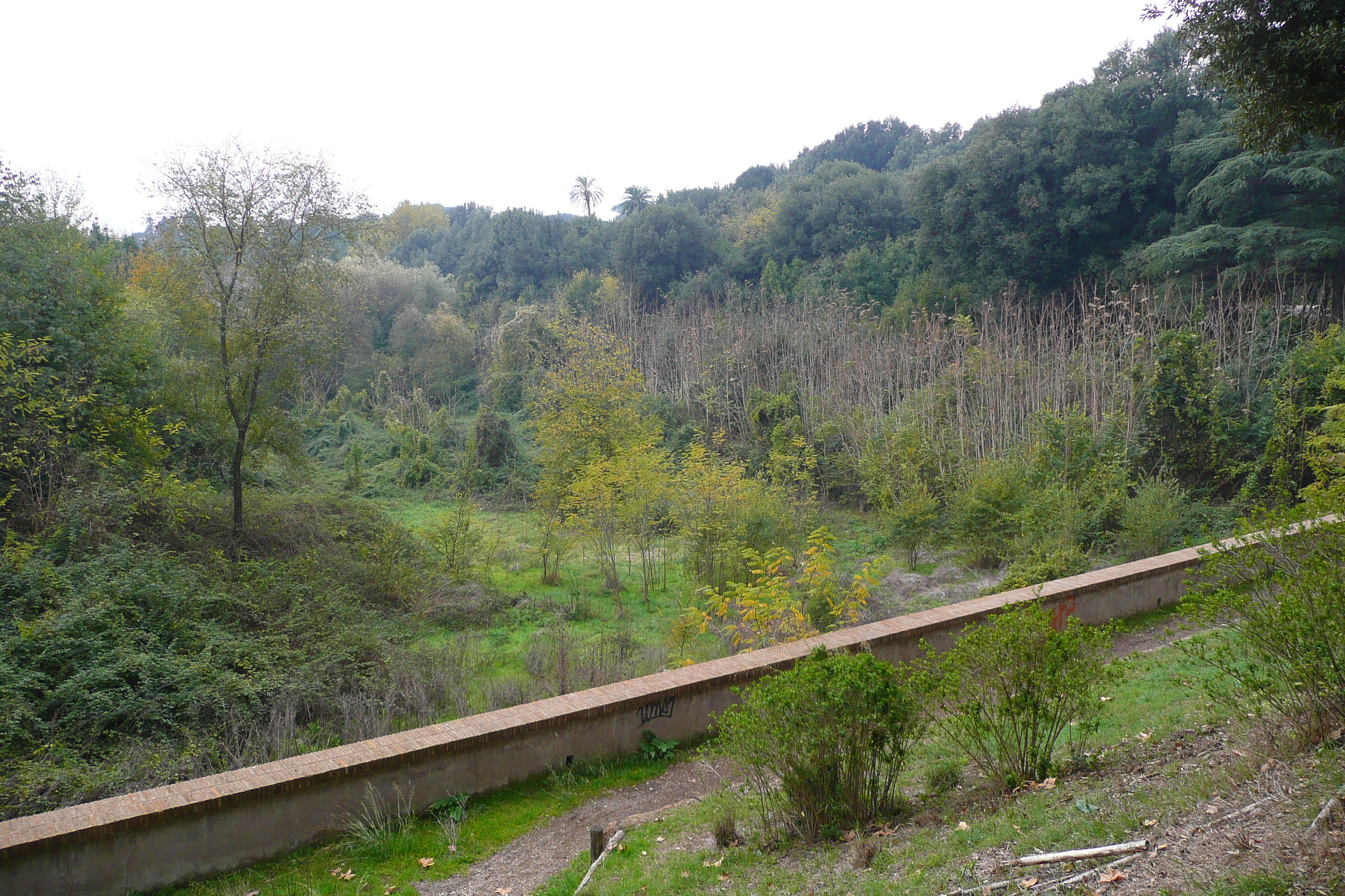 รูปถ่าย อิตาลี(Italy) โรม(Rome) วิลลาโดเรียปัมฟีลี(Villa Doria Pamphili) 2007-11 50