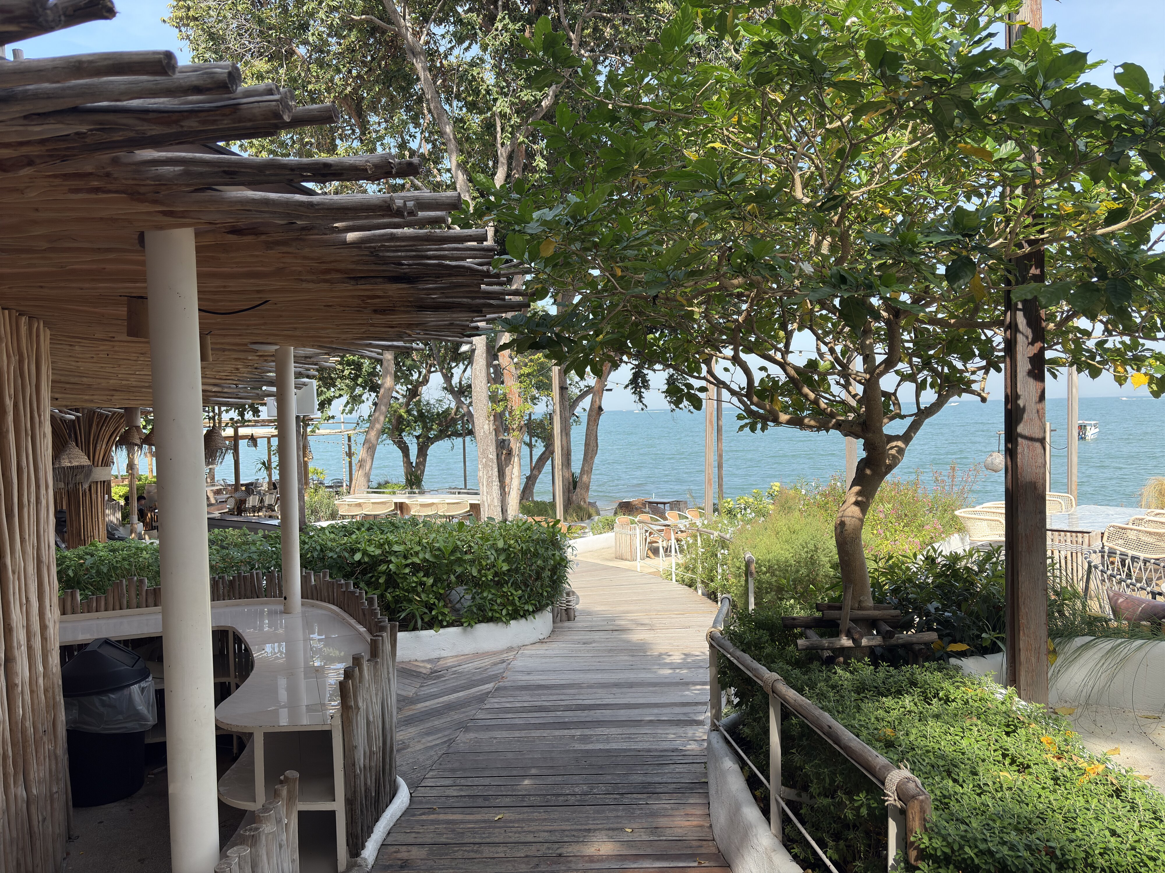รูปถ่าย ไทย(Thailand) พัทยา(Pattaya) ร้านอาหารออกซิเจน(Oxygen Restaurant) 2024-12 34