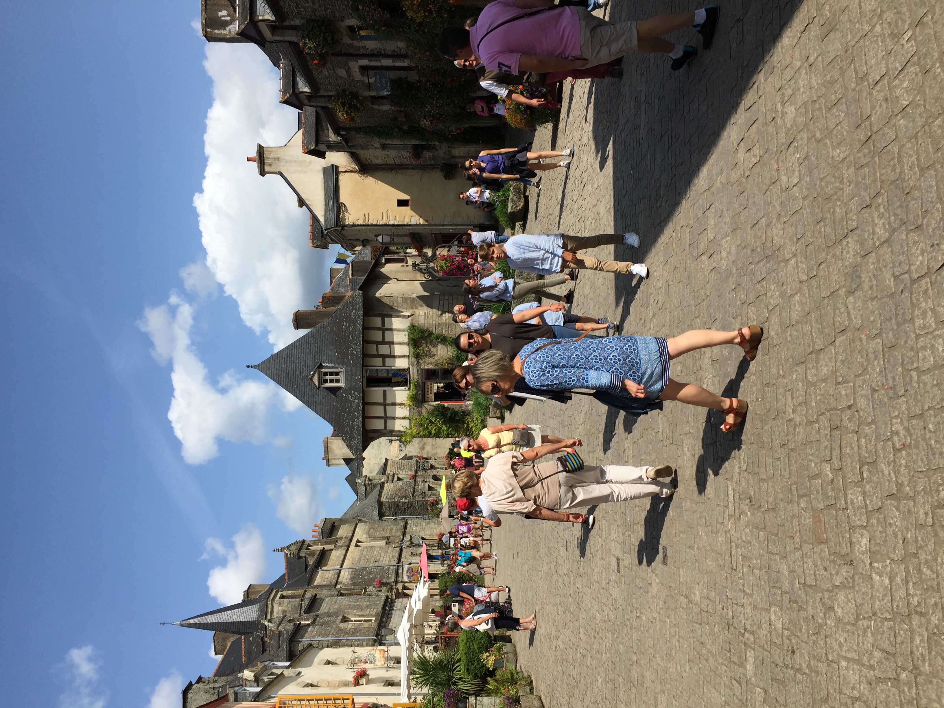 รูปถ่าย ฝรั่งเศส(France) รอชฟอร์-อ็อง-แตร์(Rochefort en terre) 2017-08 69