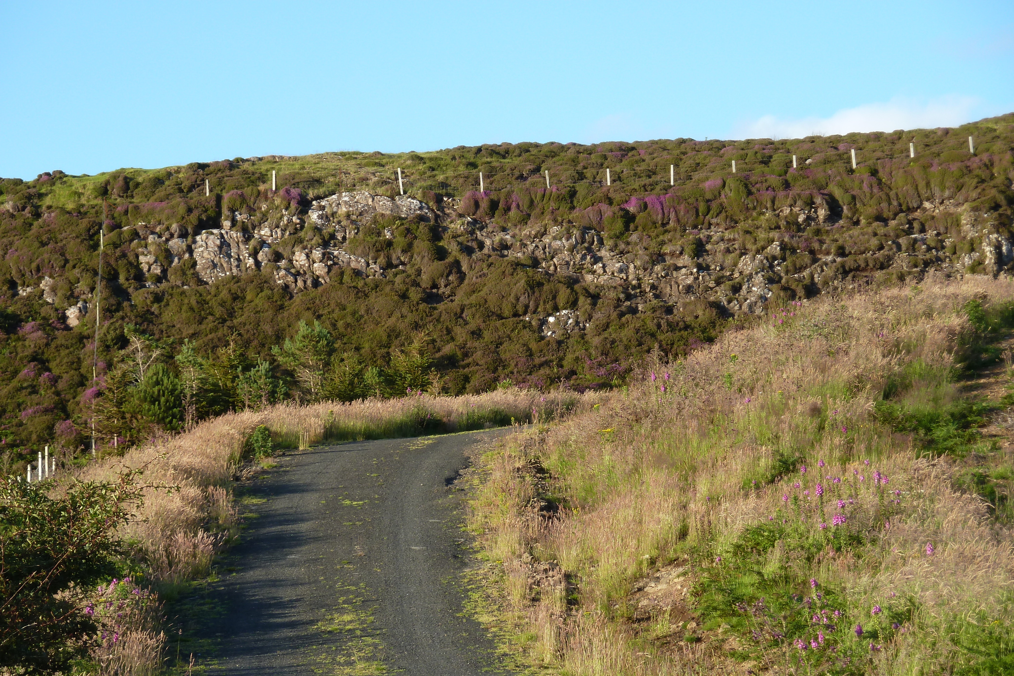 รูปถ่าย อังกฤษ(United Kingdom) เกาะสกาย(Skye) 2011-07 9
