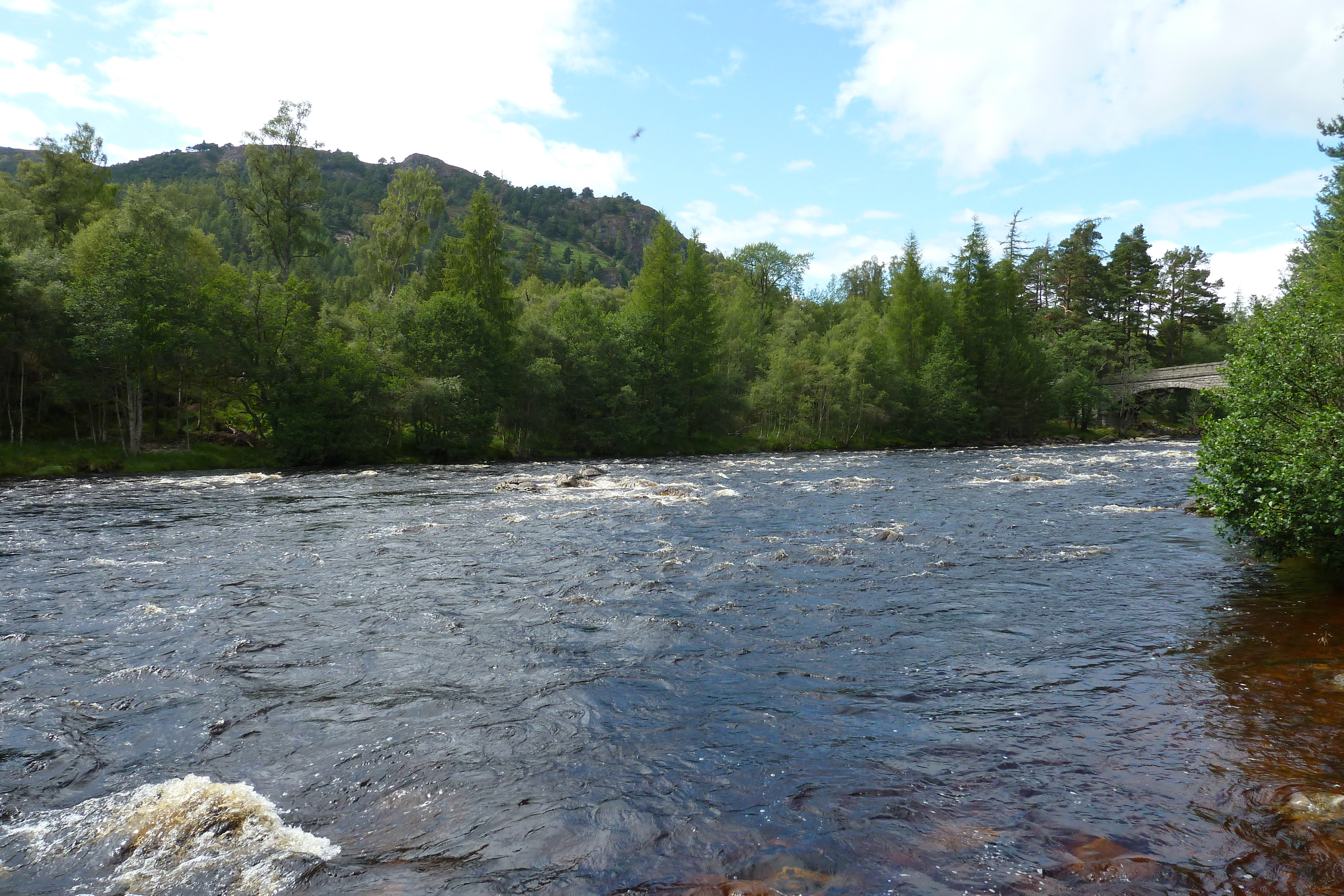 รูปถ่าย อังกฤษ(United Kingdom) สกอตแลนด์(Scotland) อุทยานแห่งชาติแคร์นกอร์มส์(Cairngorms National Park) สะพานอินเวอร์คอลด์(Invercauld Bridge) 2011-07 5