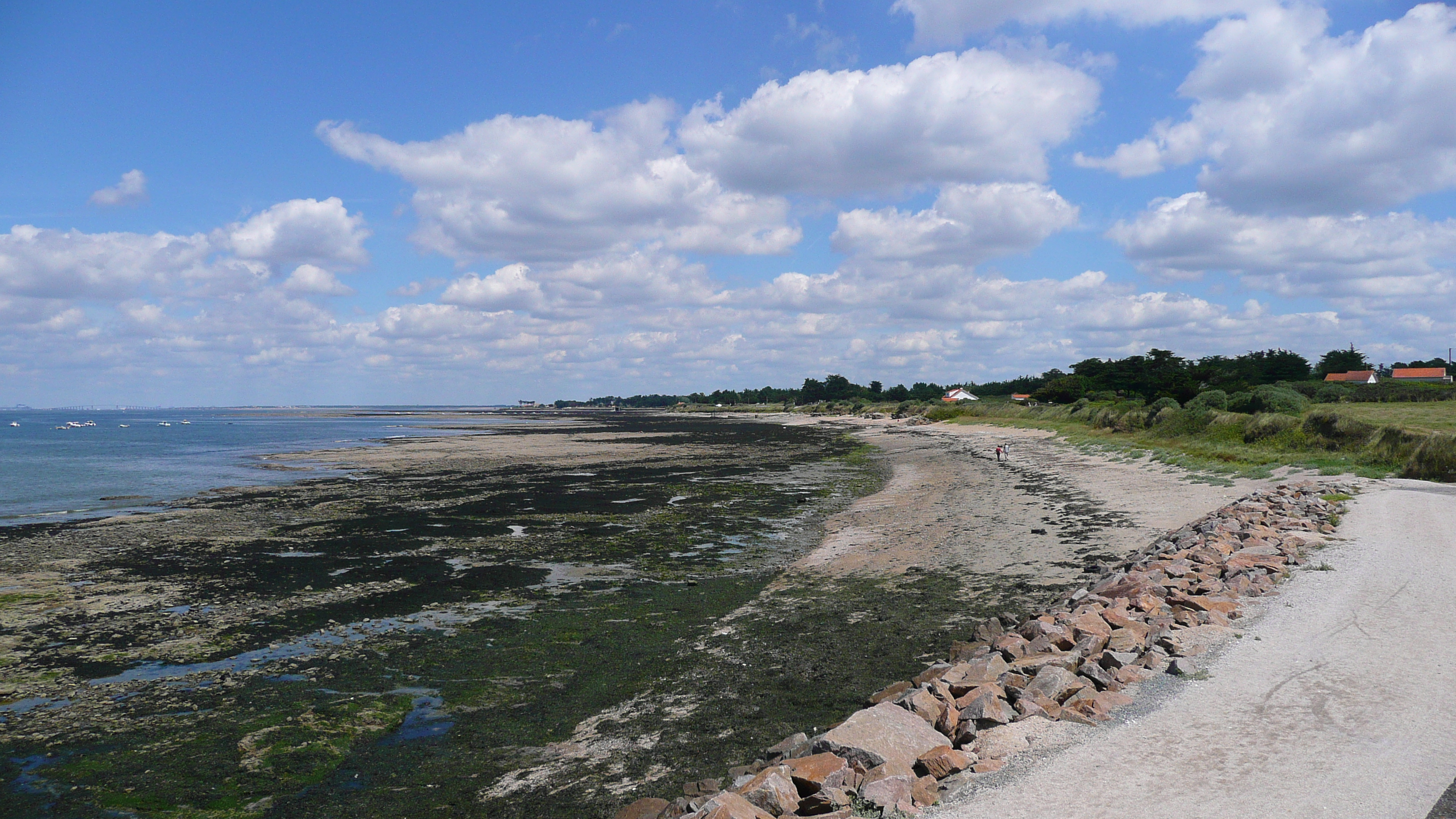 รูปถ่าย ฝรั่งเศส(France) เพรฟาย(Prefailles) แหลมแซ็ง-ฌีลดา(La pointe Saint Gildas) 2007-08 68