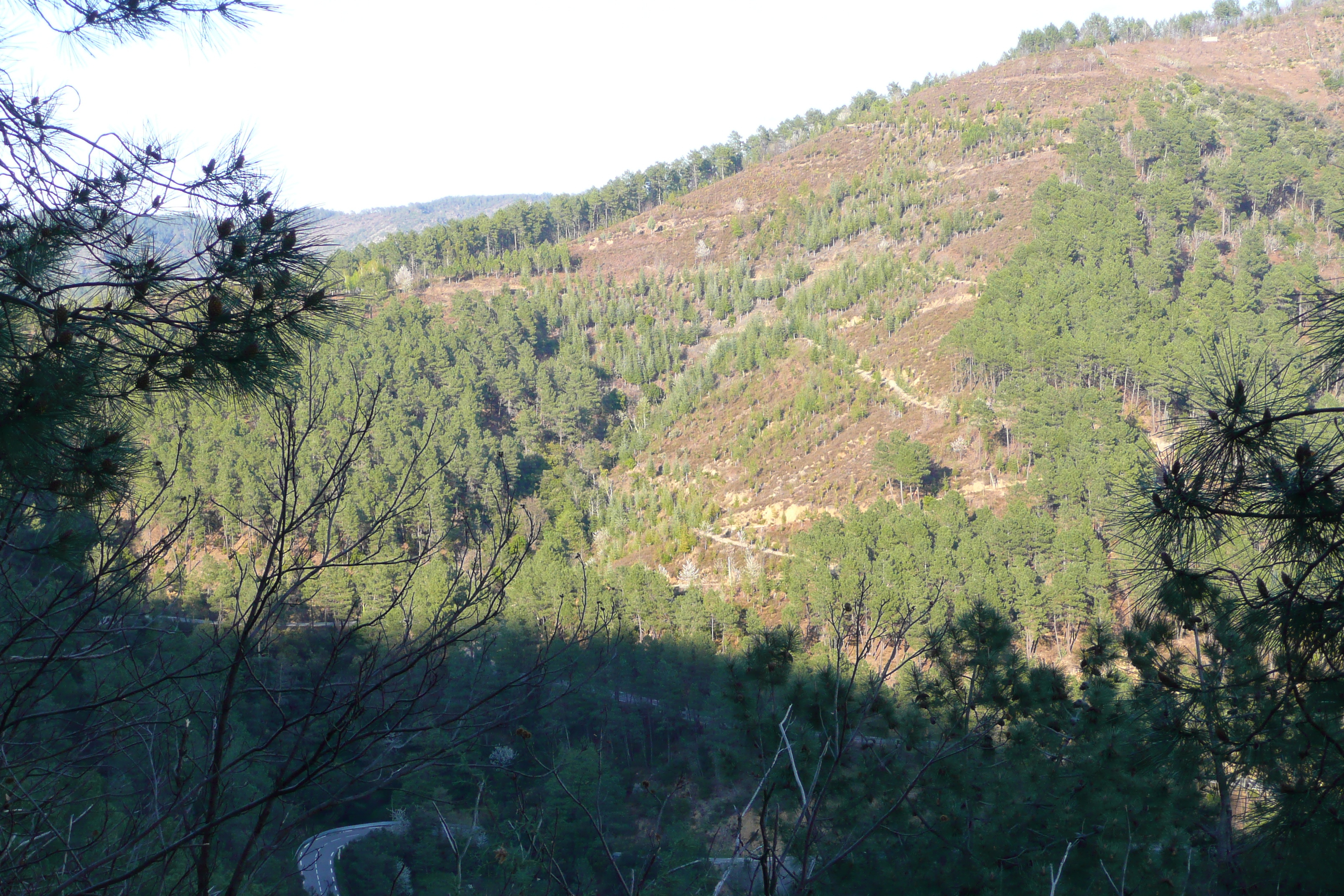 รูปถ่าย ฝรั่งเศส(France) เทือกเขาเซแวน(Cevennes Mountains) 2008-04 44