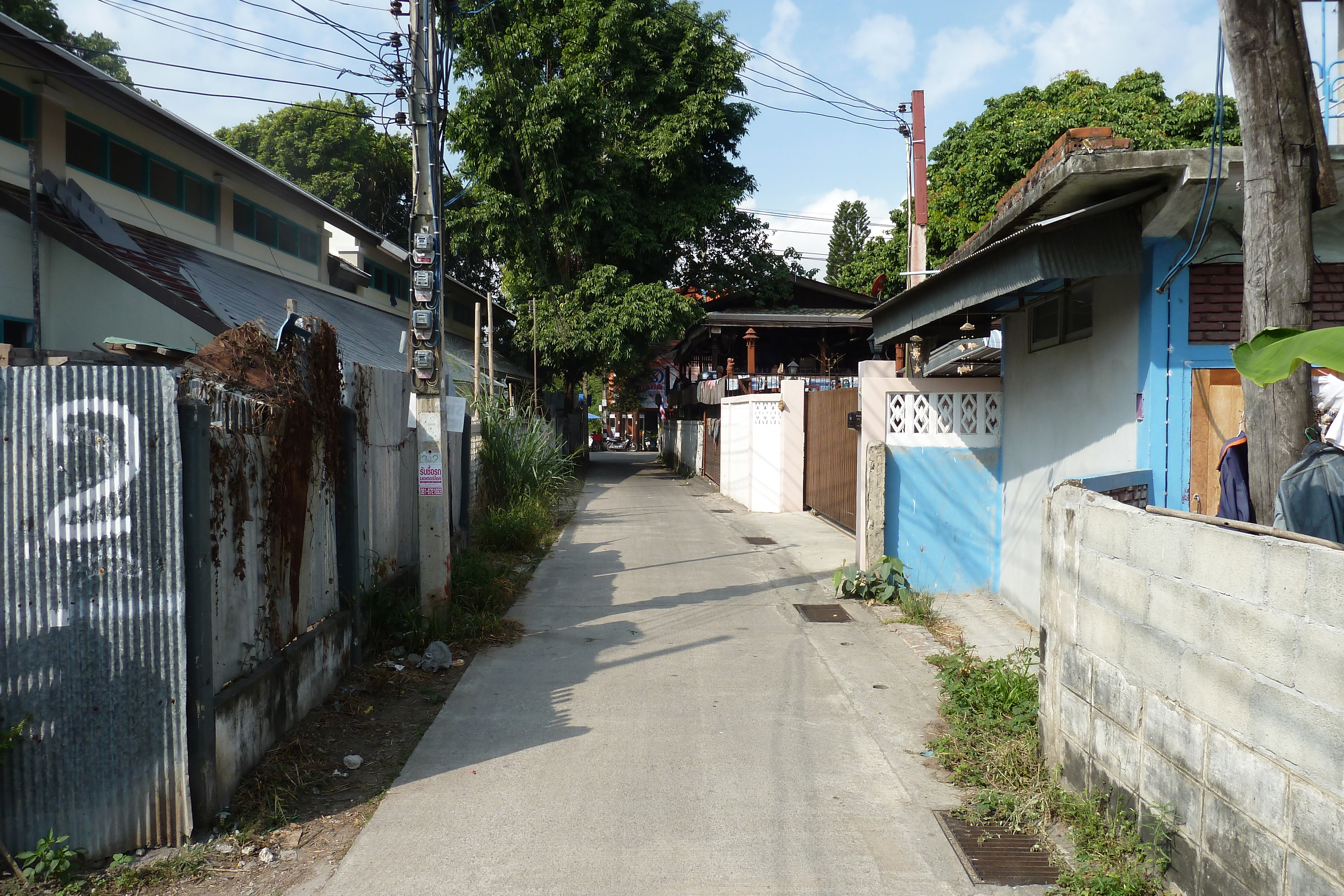 รูปถ่าย ไทย(Thailand) เชียงใหม่(Chiang Mai) 2010-12 45