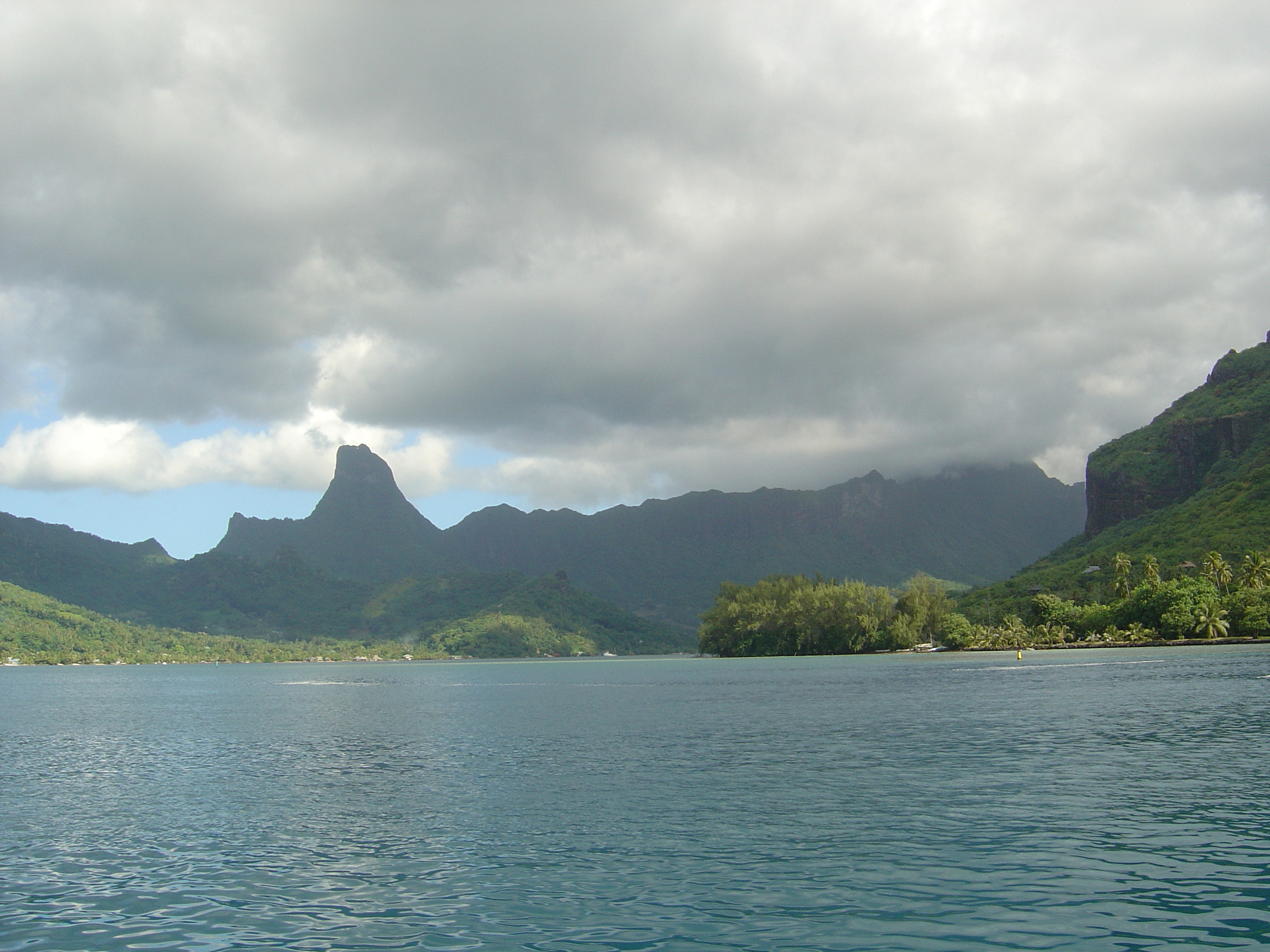 รูปถ่าย เฟรนช์โพลี่นีเซีย(Polynesia) มูเรีย(Moorea) 2006-04 189