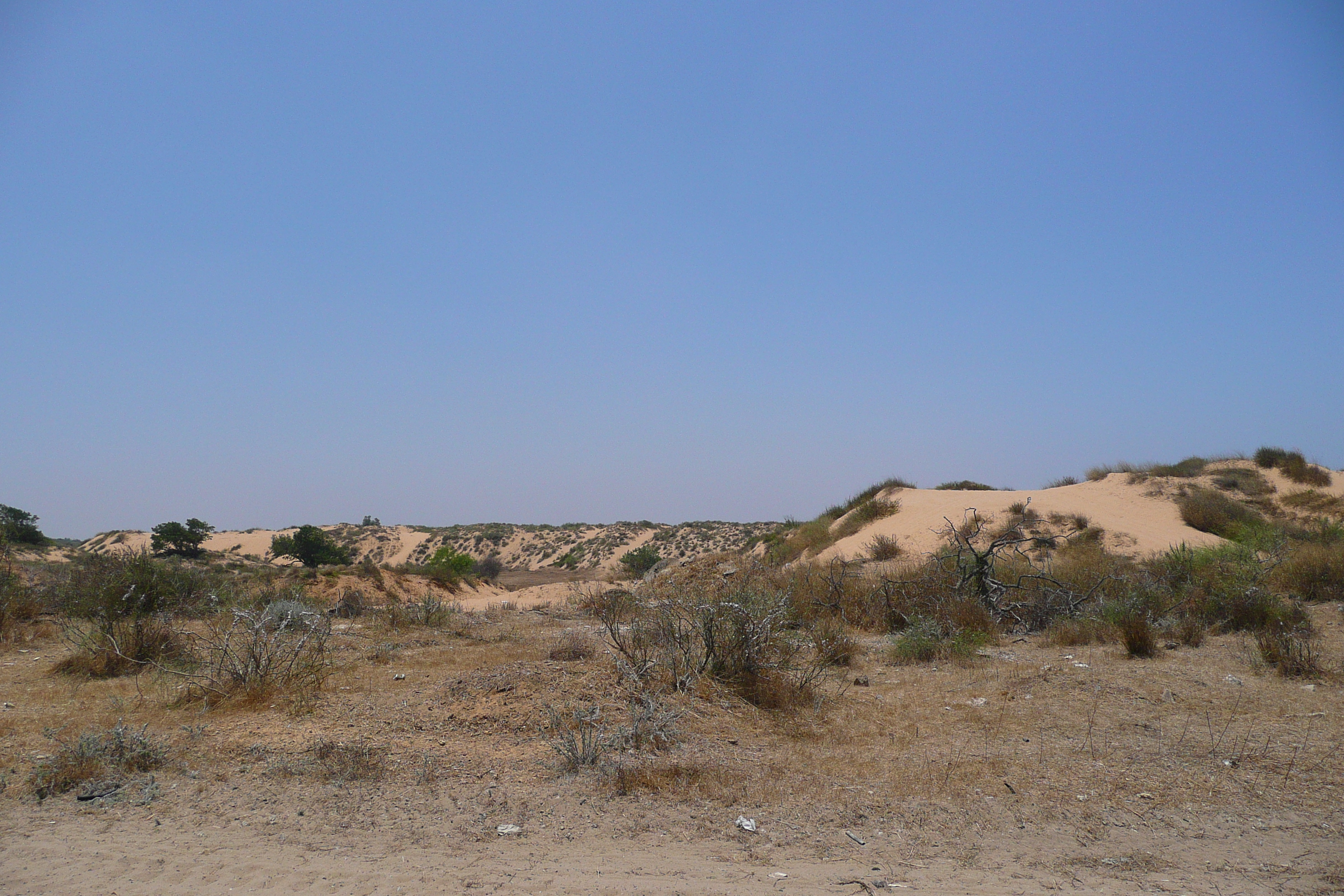 รูปถ่าย อิสราเอล(Israel) นิทซาน(Nitzan) 2007-06 104