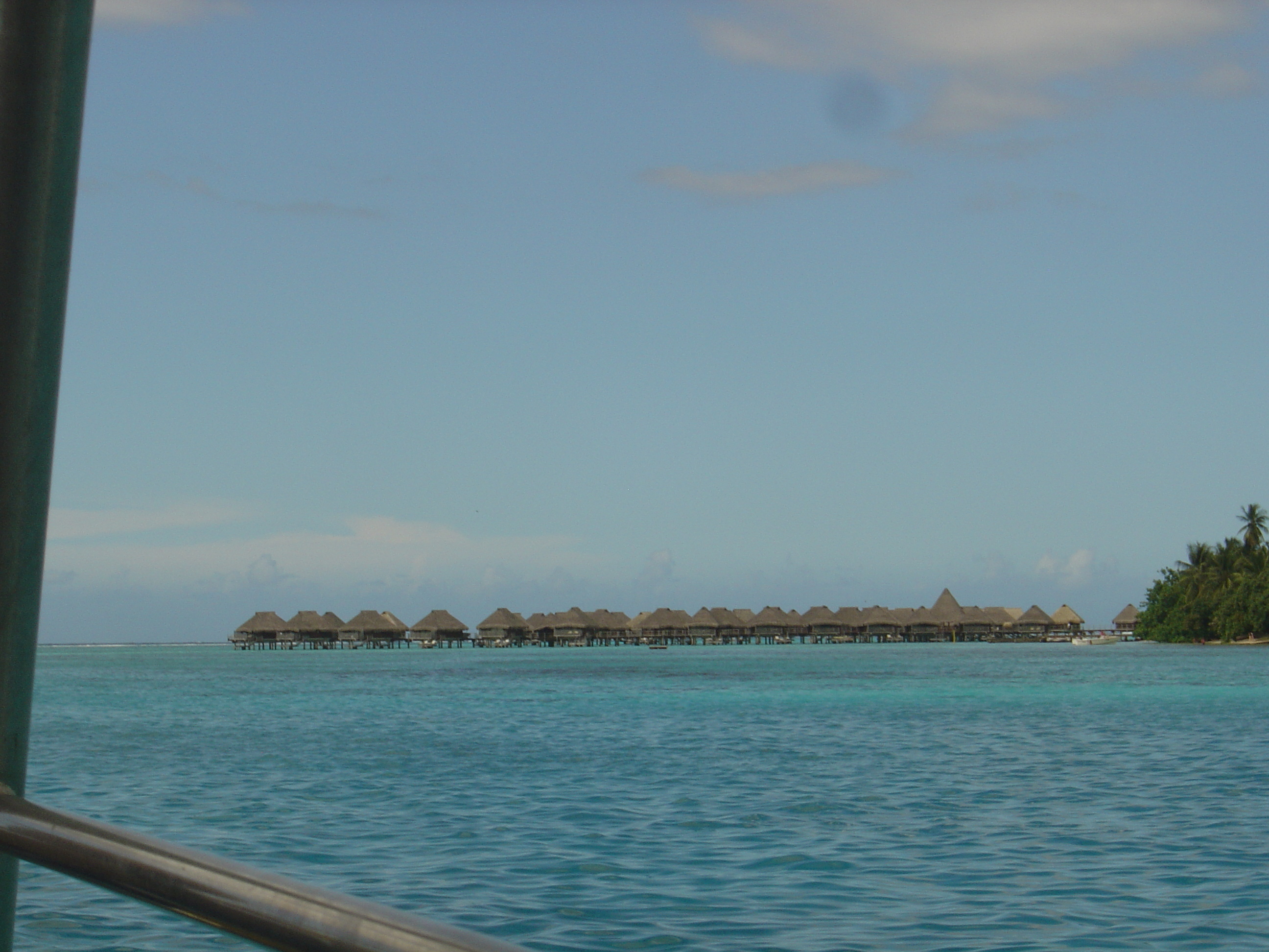 รูปถ่าย เฟรนช์โพลี่นีเซีย(Polynesia) มูเรีย(Moorea) 2006-04 168