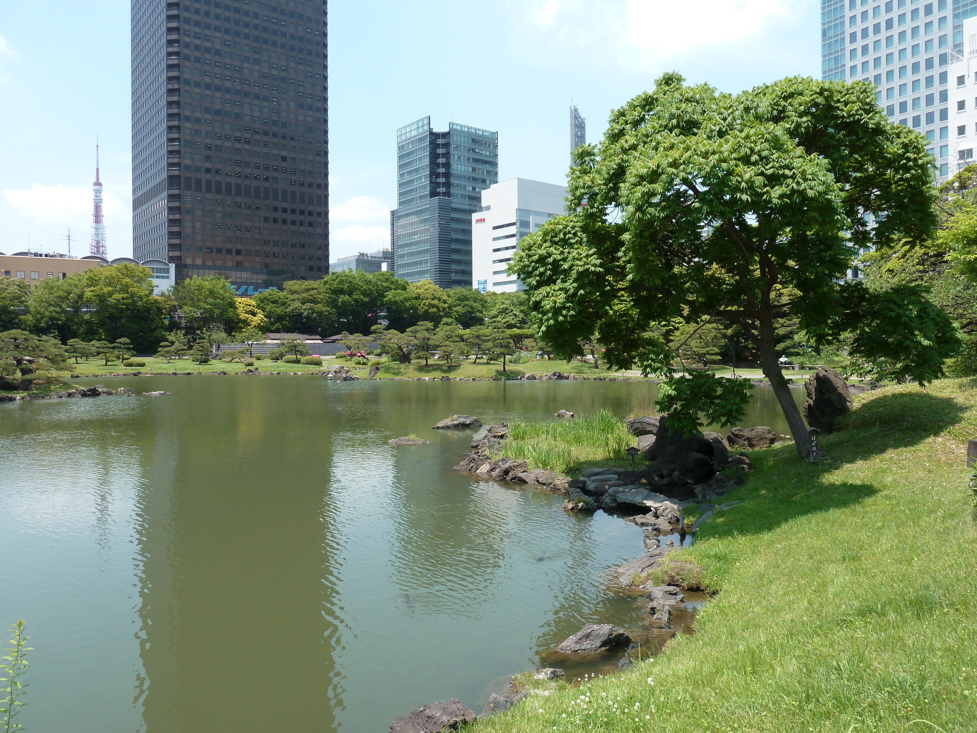 รูปถ่าย ญี่ปุ่น(Japan) โตเกียว(Tokyo) สวนคิวชิบะริคิว(Kyu Shiba rikyu Gardens) 2010-06 6