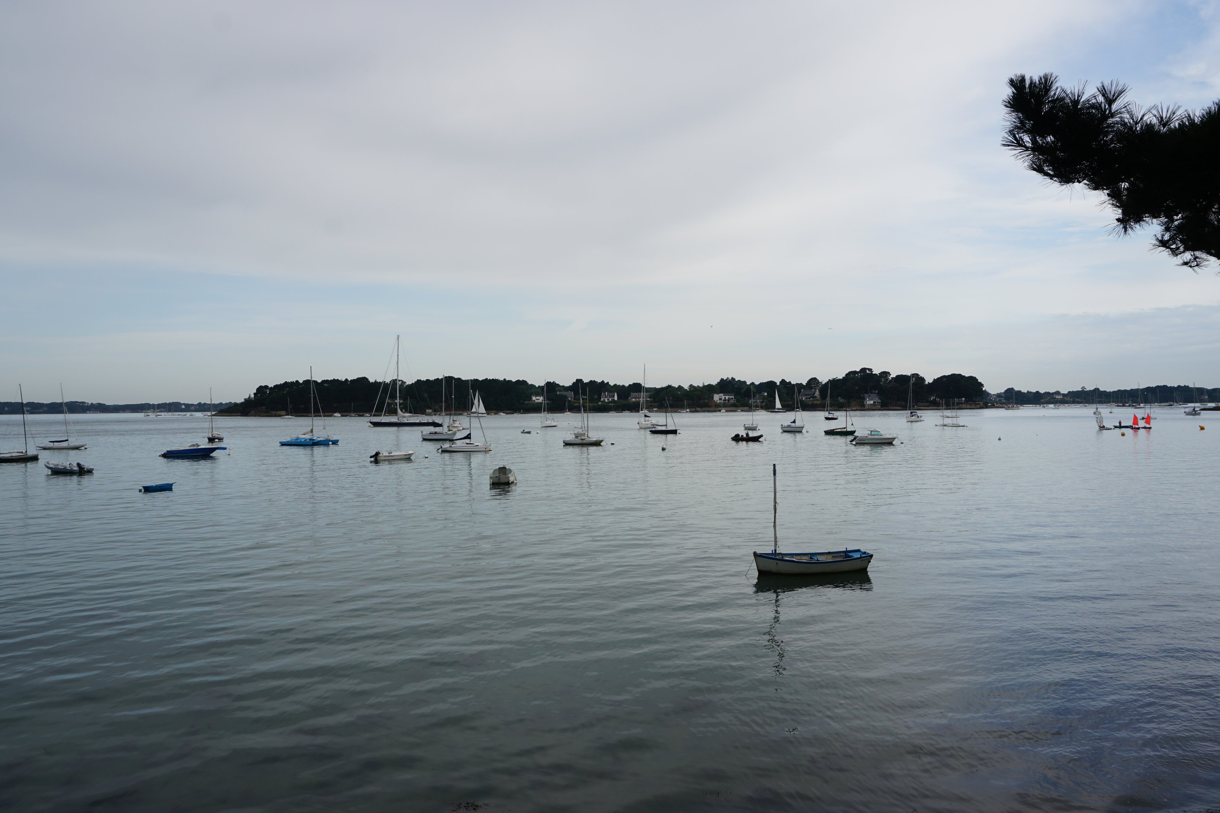 รูปถ่าย ฝรั่งเศส(France) เกาะโอมวน(Ile-aux-Moines) 2016-08 16