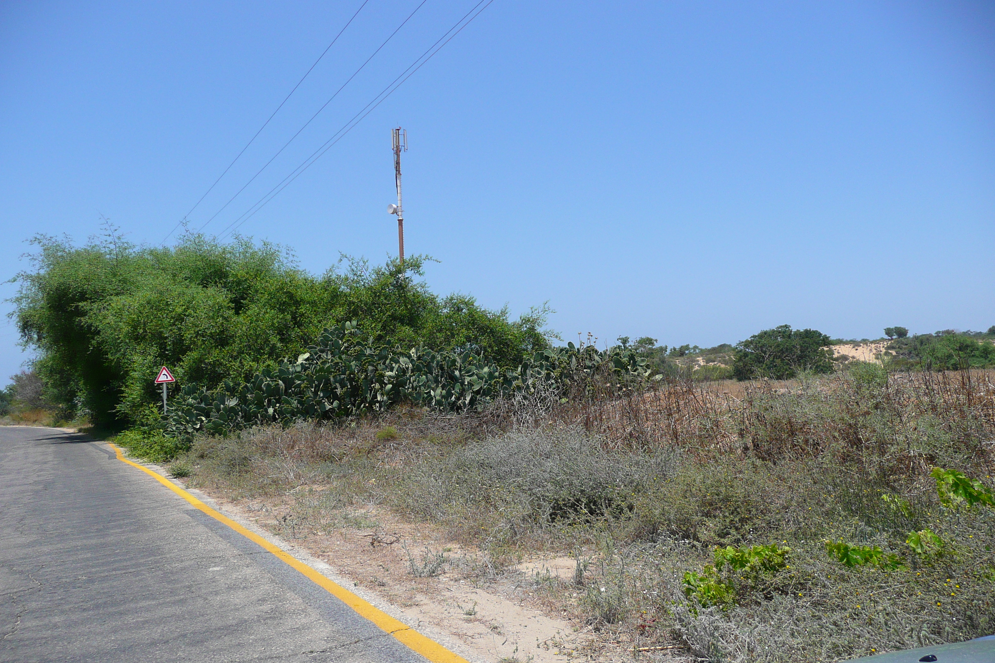 รูปถ่าย อิสราเอล(Israel) นิทซาน(Nitzan) 2007-06 55