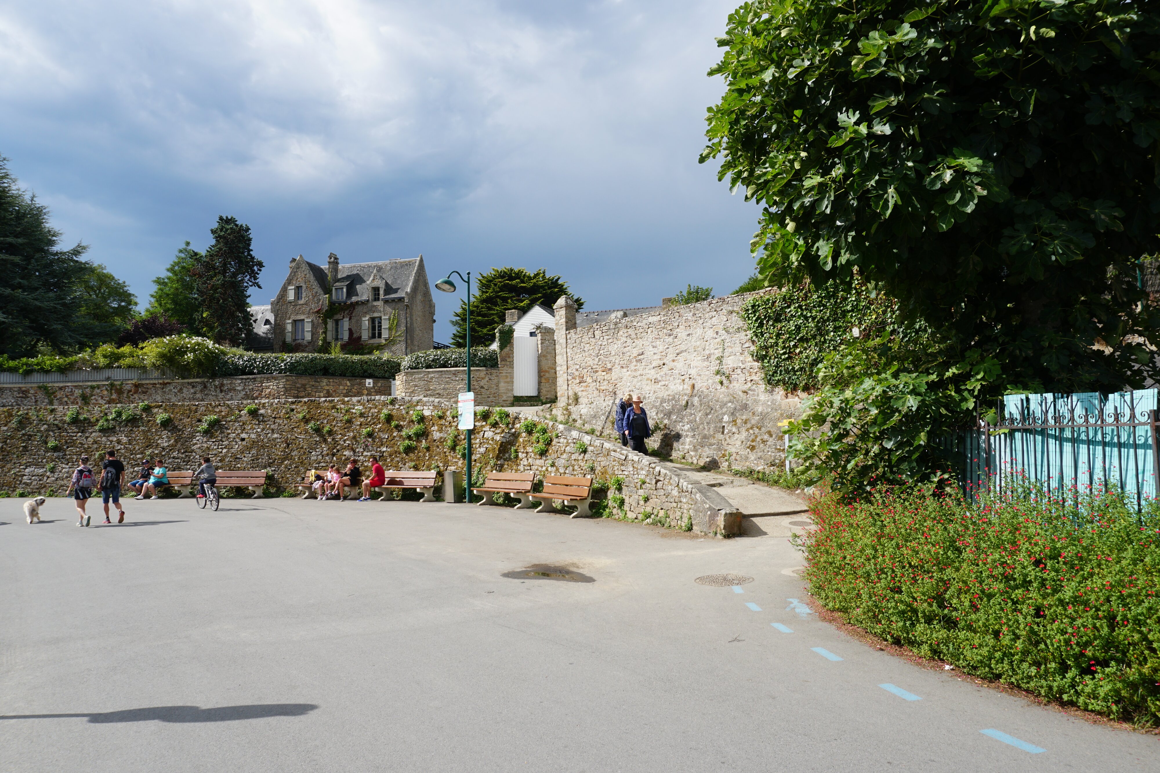 รูปถ่าย ฝรั่งเศส(France) เกาะโอมวน(Ile-aux-Moines) 2016-08 89