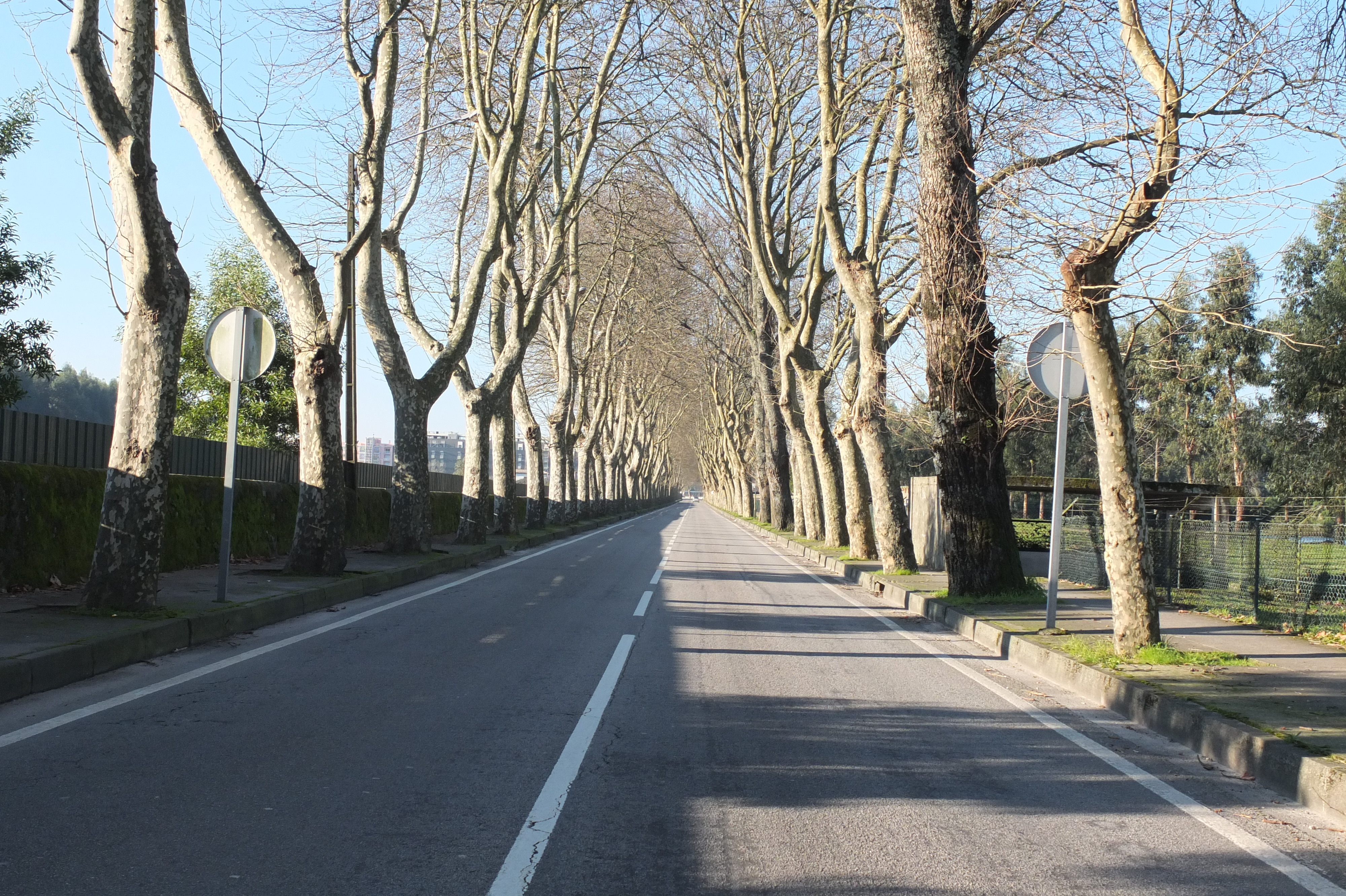 รูปถ่าย โปรตุเกส(Portugal) วีอานาดูกัชเตลู(Viana do Castelo) 2013-01 20