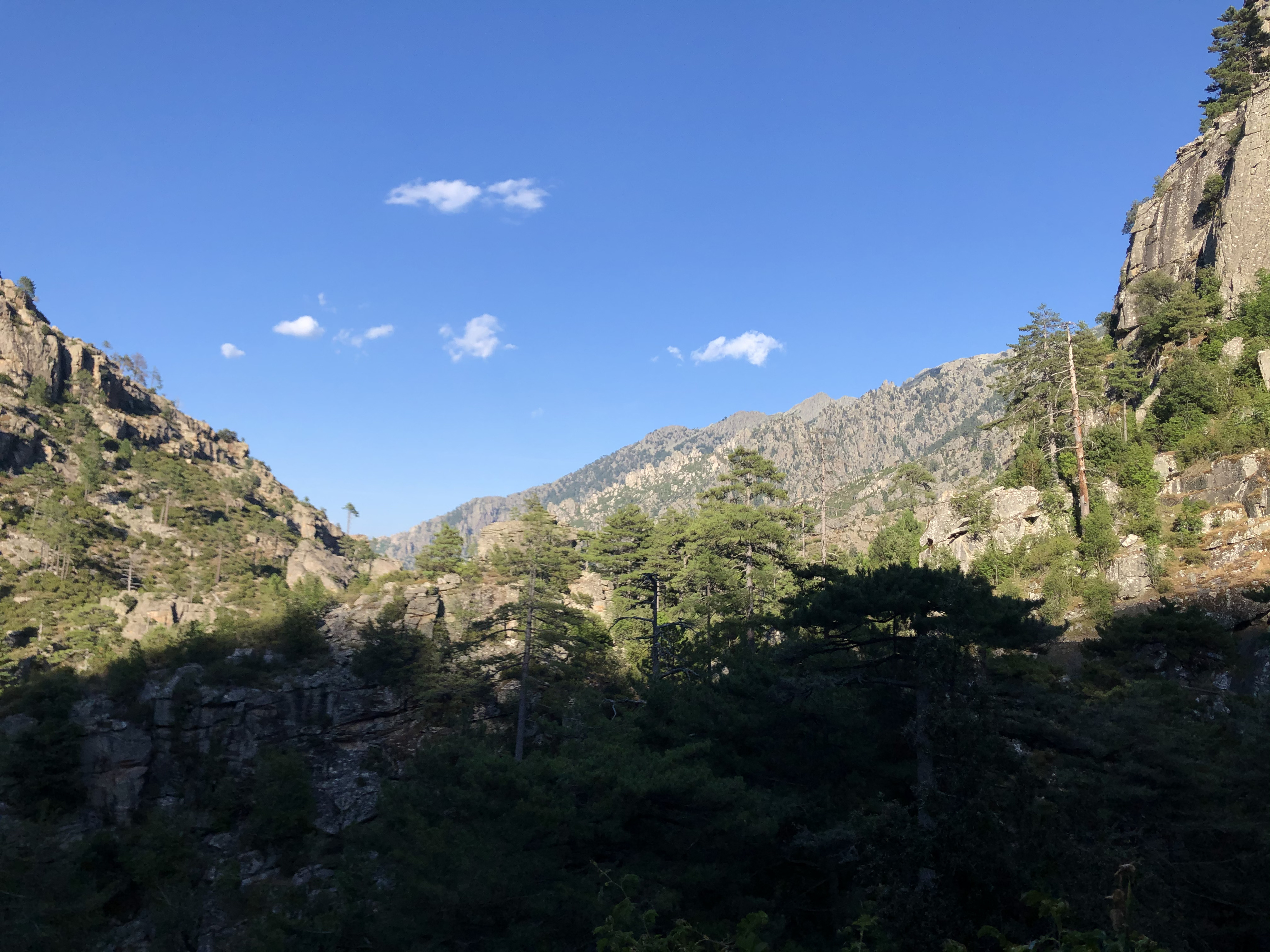 รูปถ่าย ฝรั่งเศส(France) คอร์สิคา(Corsica) หุบเขาลาเรสโตนีกา(La Restonica) 2020-07 58