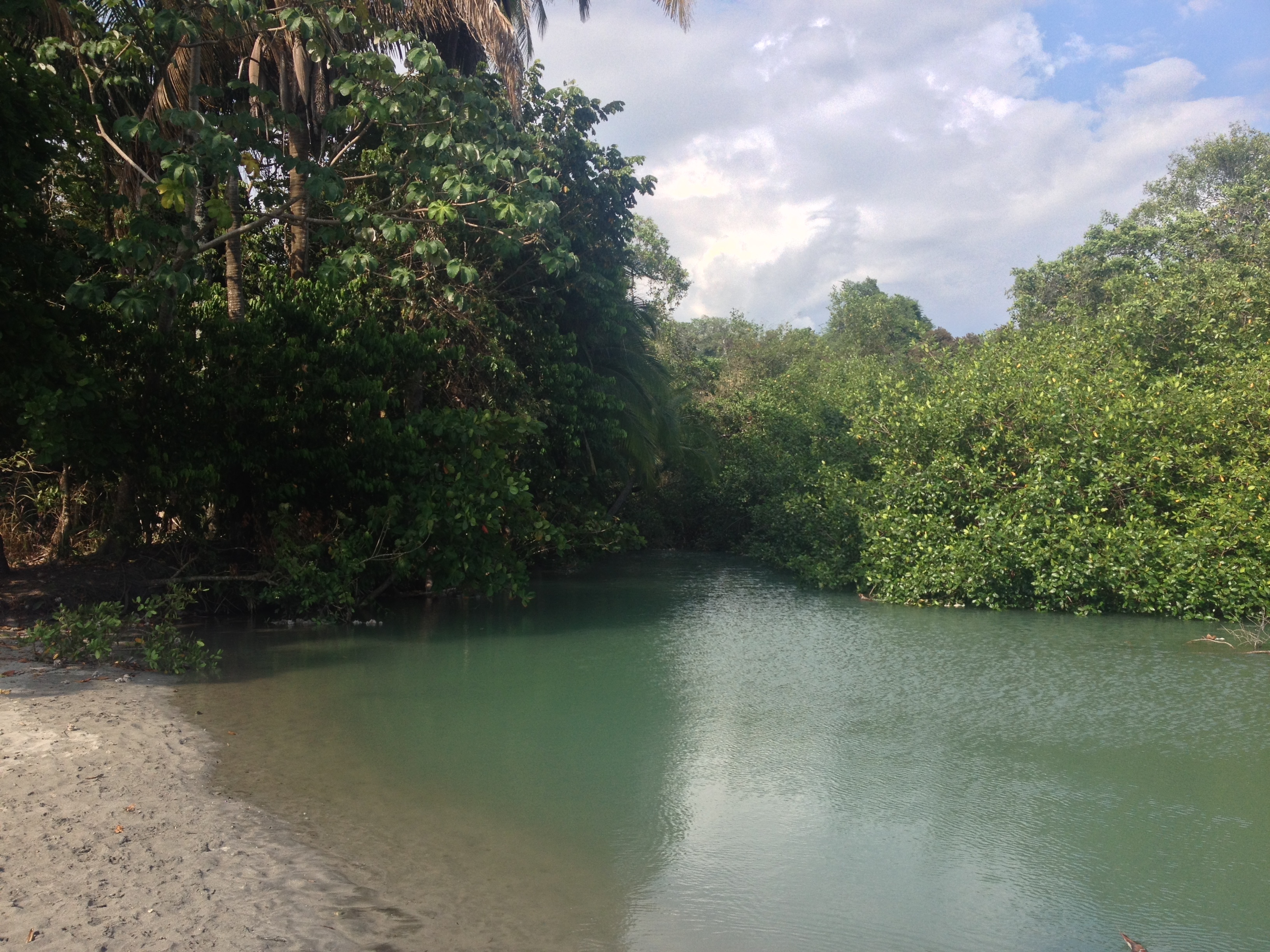 รูปถ่าย คอสตาริกา(Costa Rica) มานวยล์อันโตนีโอ(Manuel Antonio) 2015-03 394